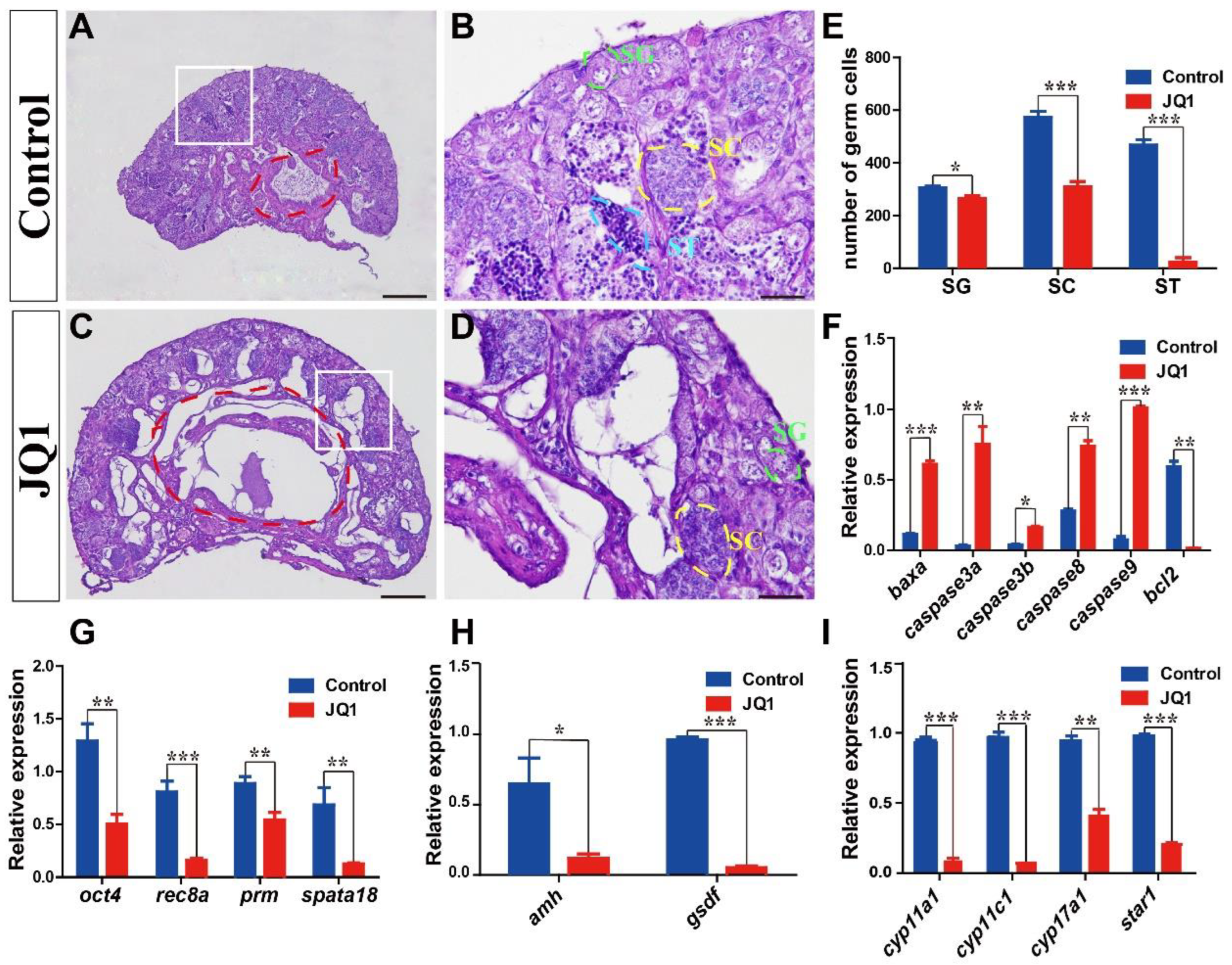 Animals 12 02266 g006