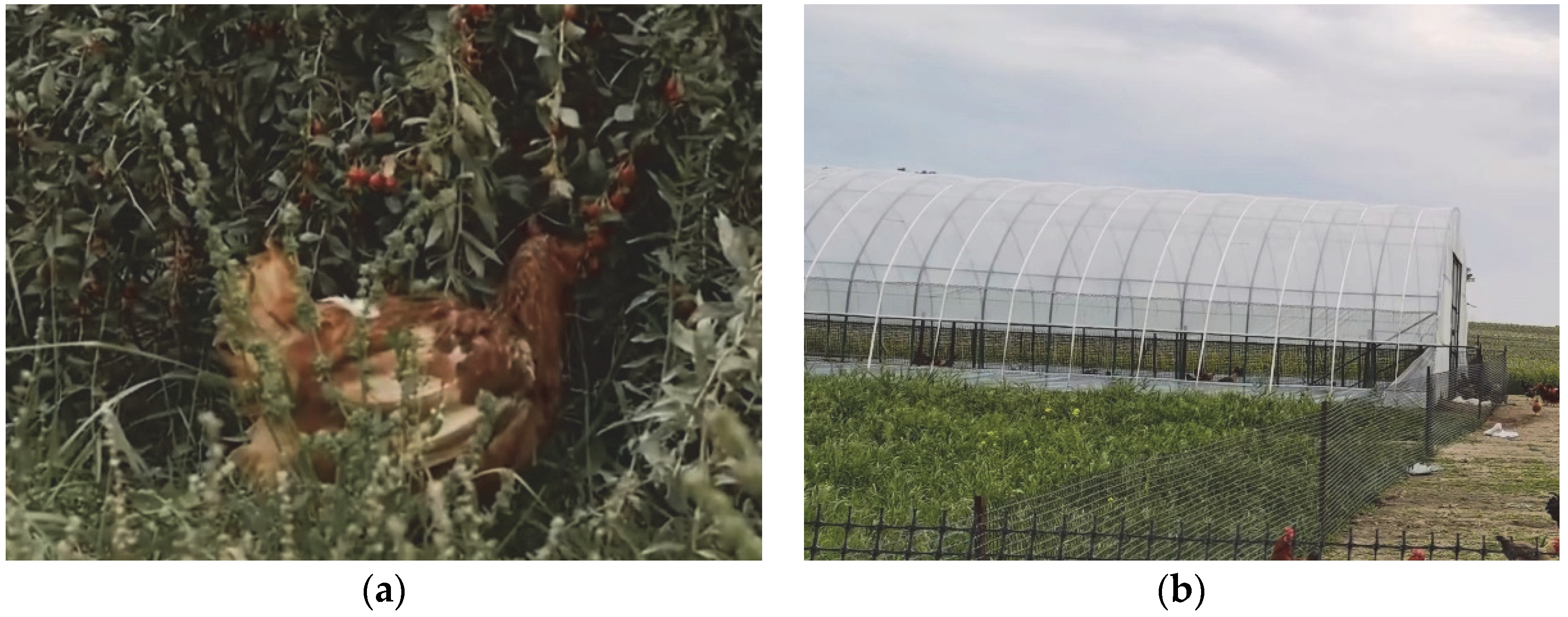 Animals 12 02305 g004