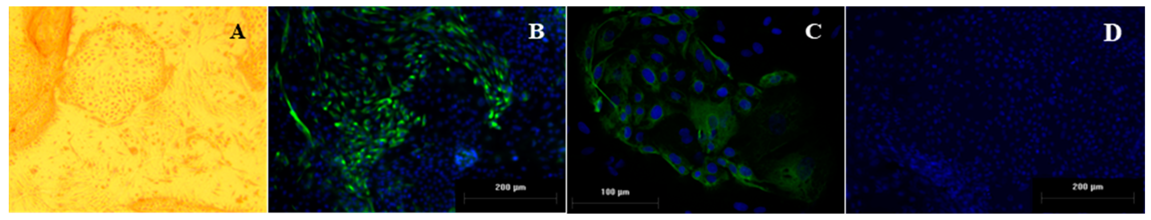 Animals 12 02359 g001