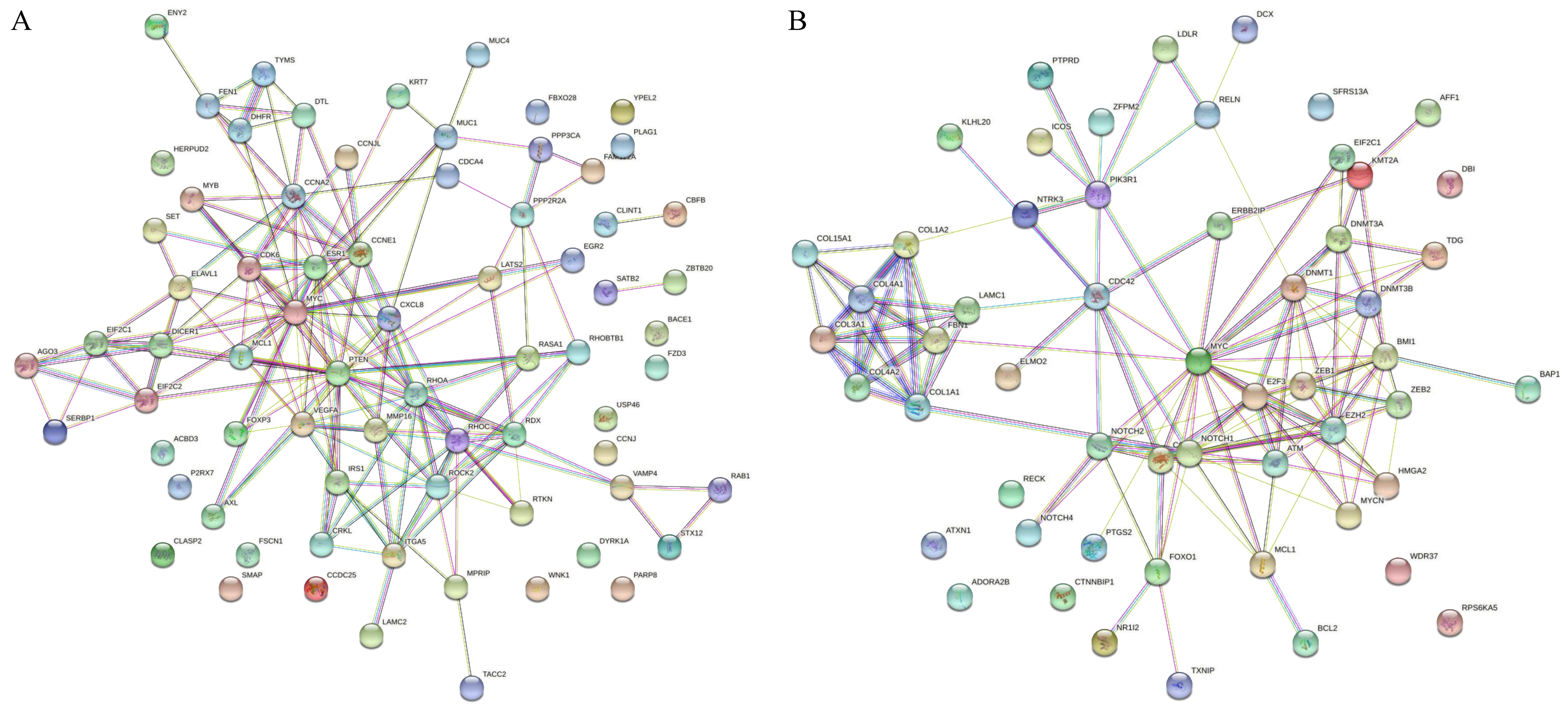 Animals 12 02360 g002