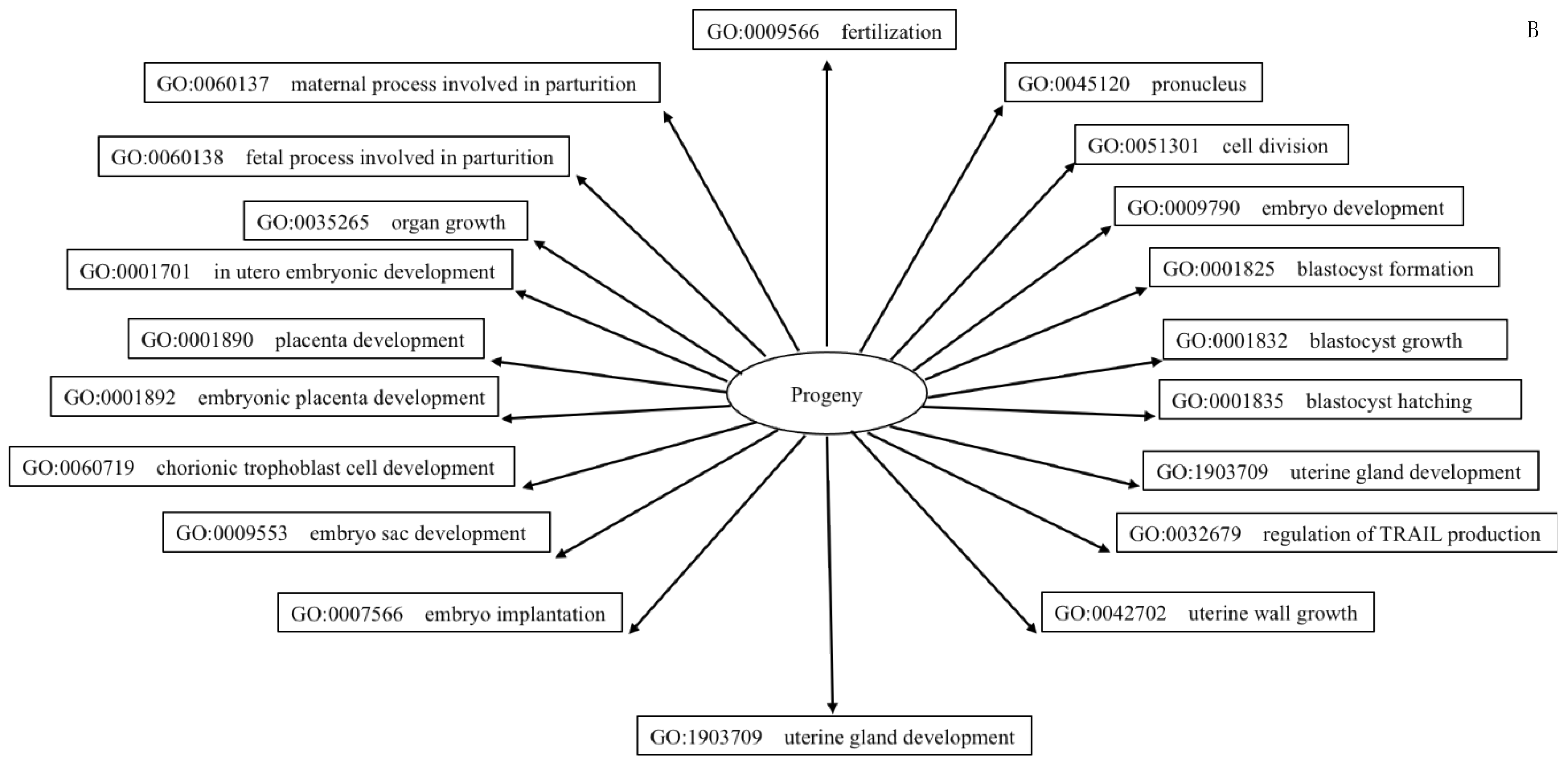 Animals 12 02360 g006b