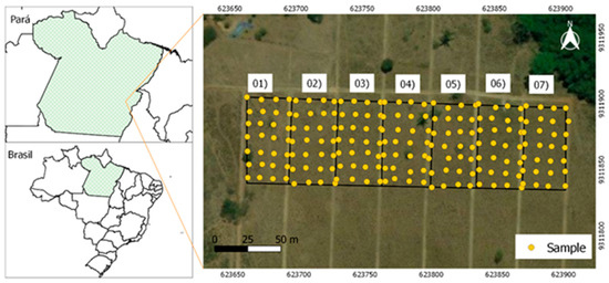 Animals | Free Full-Text | Mapping Soil and Pasture Attributes for Buffalo  Management through Remote Sensing and Geostatistics in Amazon Biome