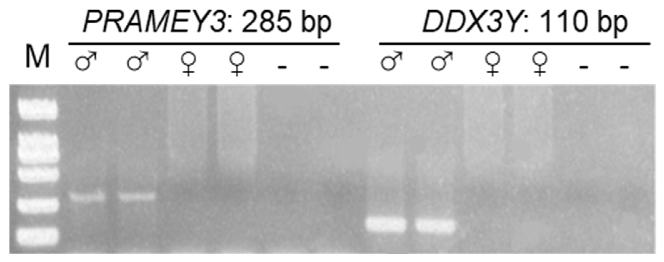 Animals 12 02380 g003