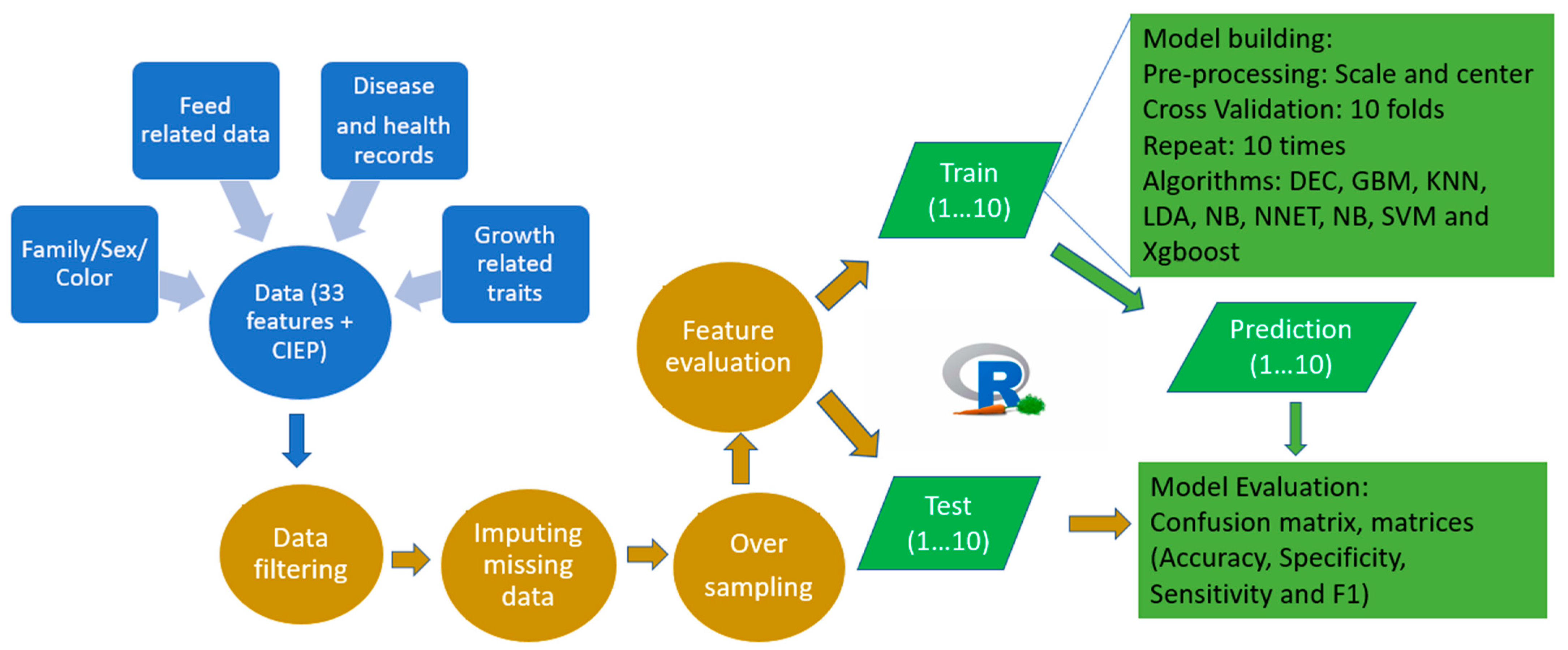Animals 12 02386 g001