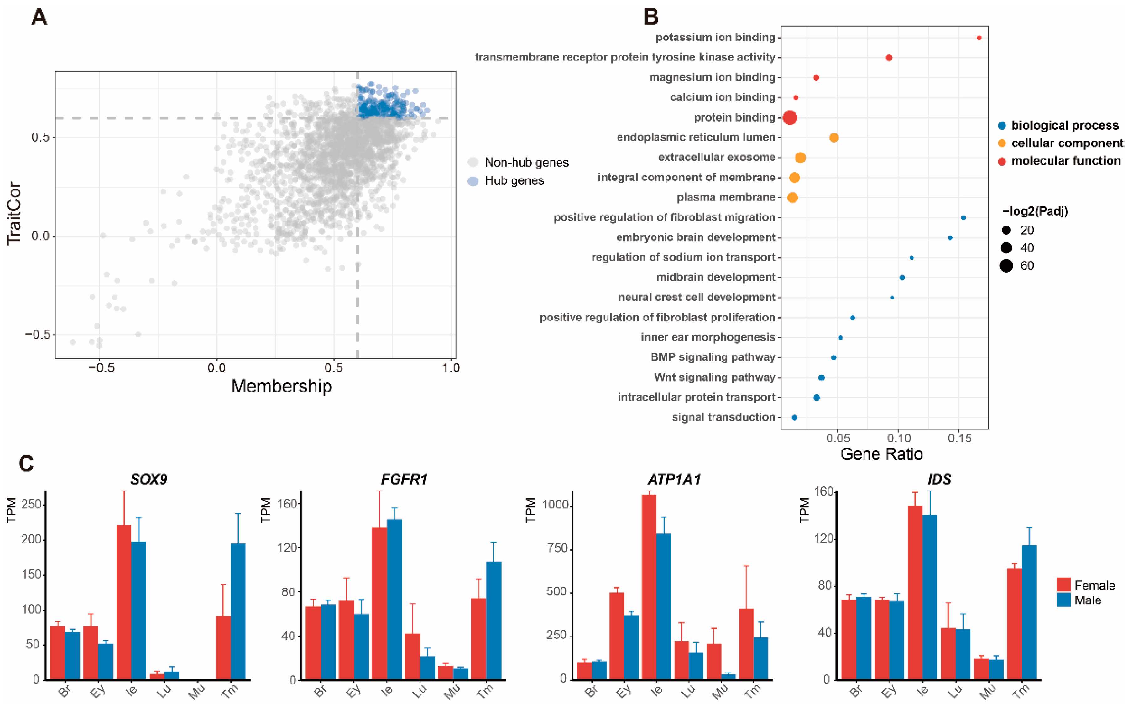 Animals 12 02410 g003 Animals 12 02410 g003