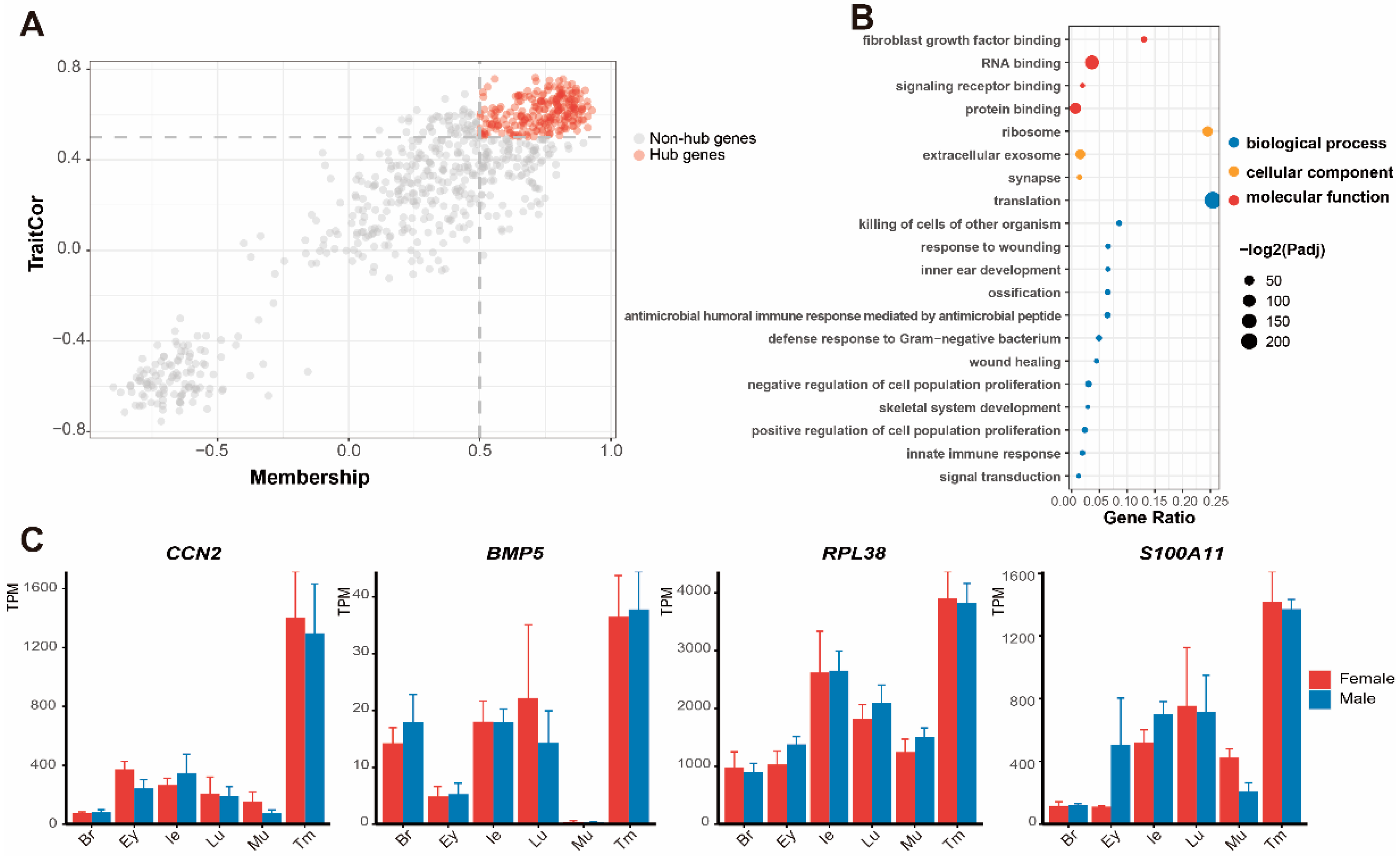 Animals 12 02410 g004 Animals 12 02410 g004
