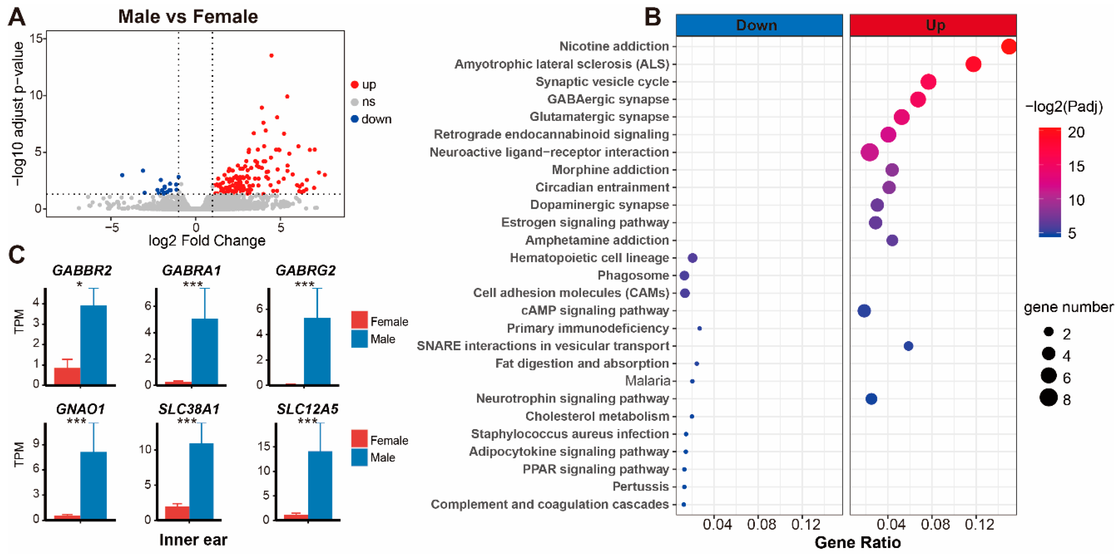 Animals 12 02410 g005 Animals 12 02410 g005