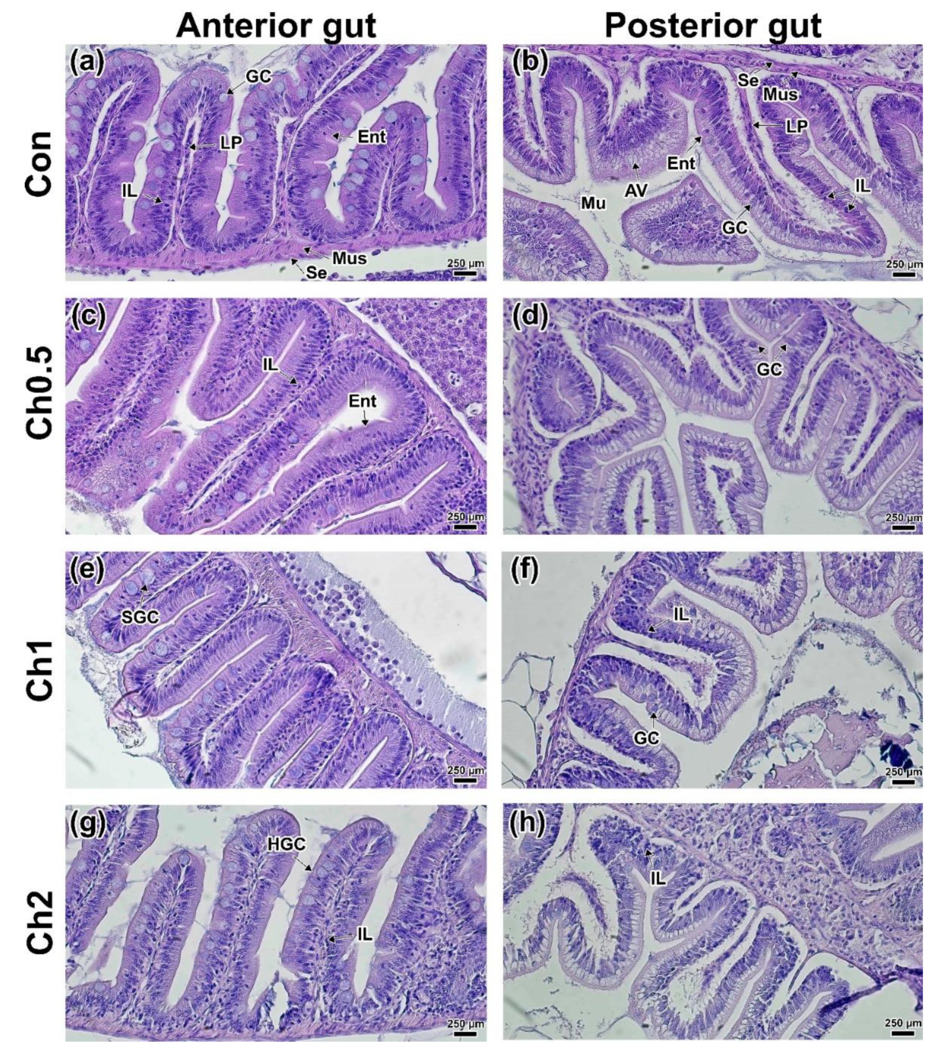 Animals 12 02424 g004 Animals 12 02424 g004