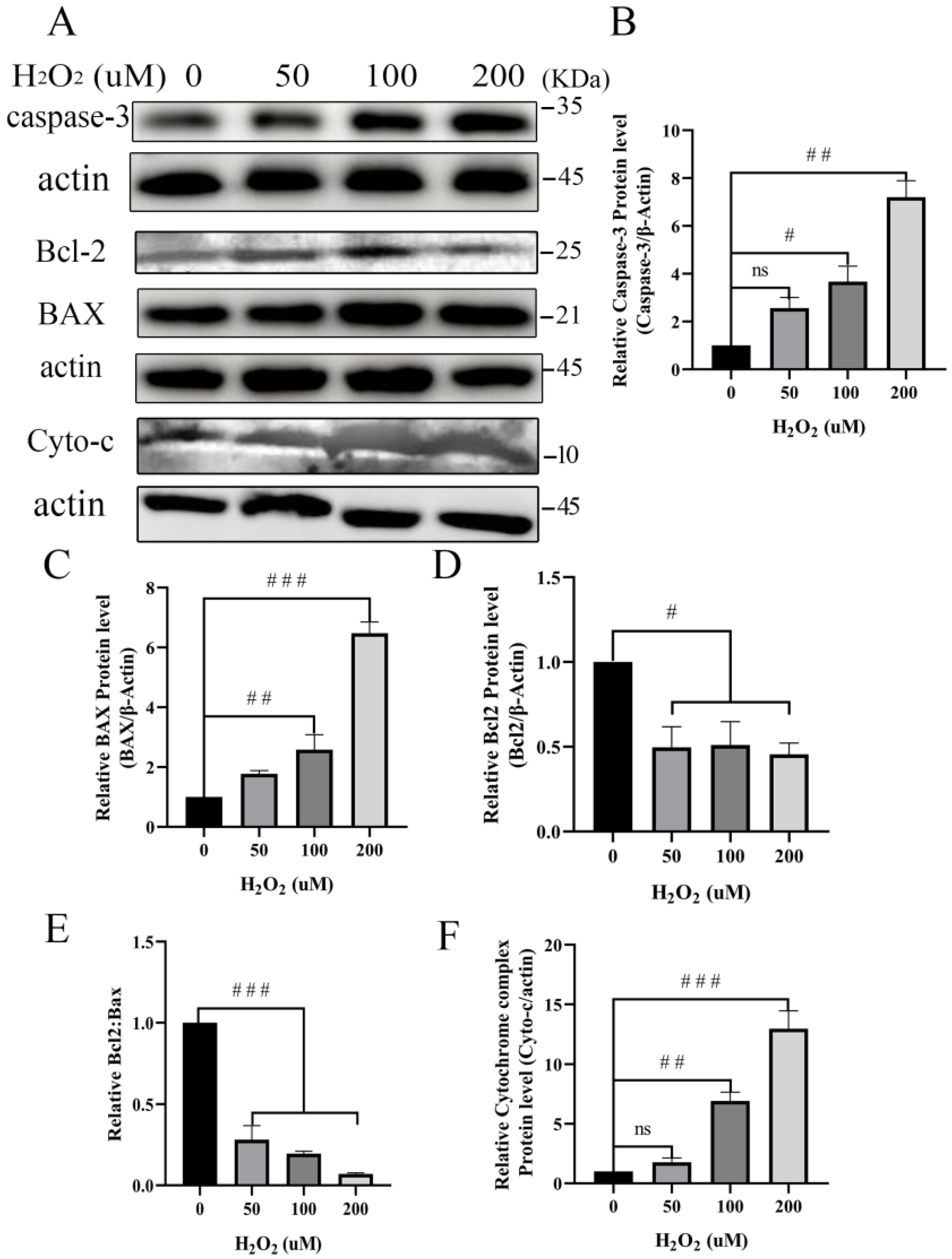 Animals 12 02444 g005