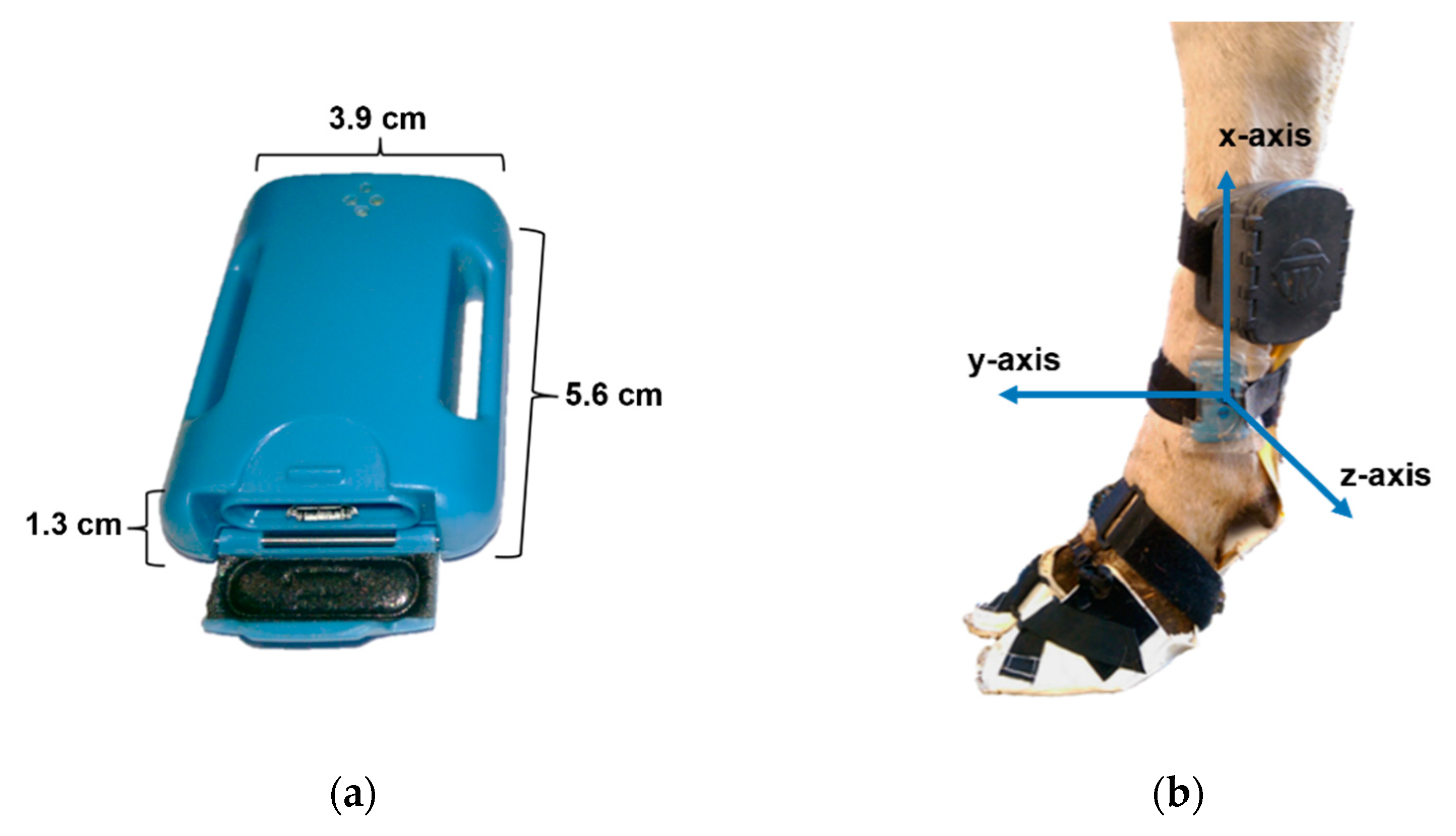 Animals 12 02457 g002 Animals 12 02457 g002