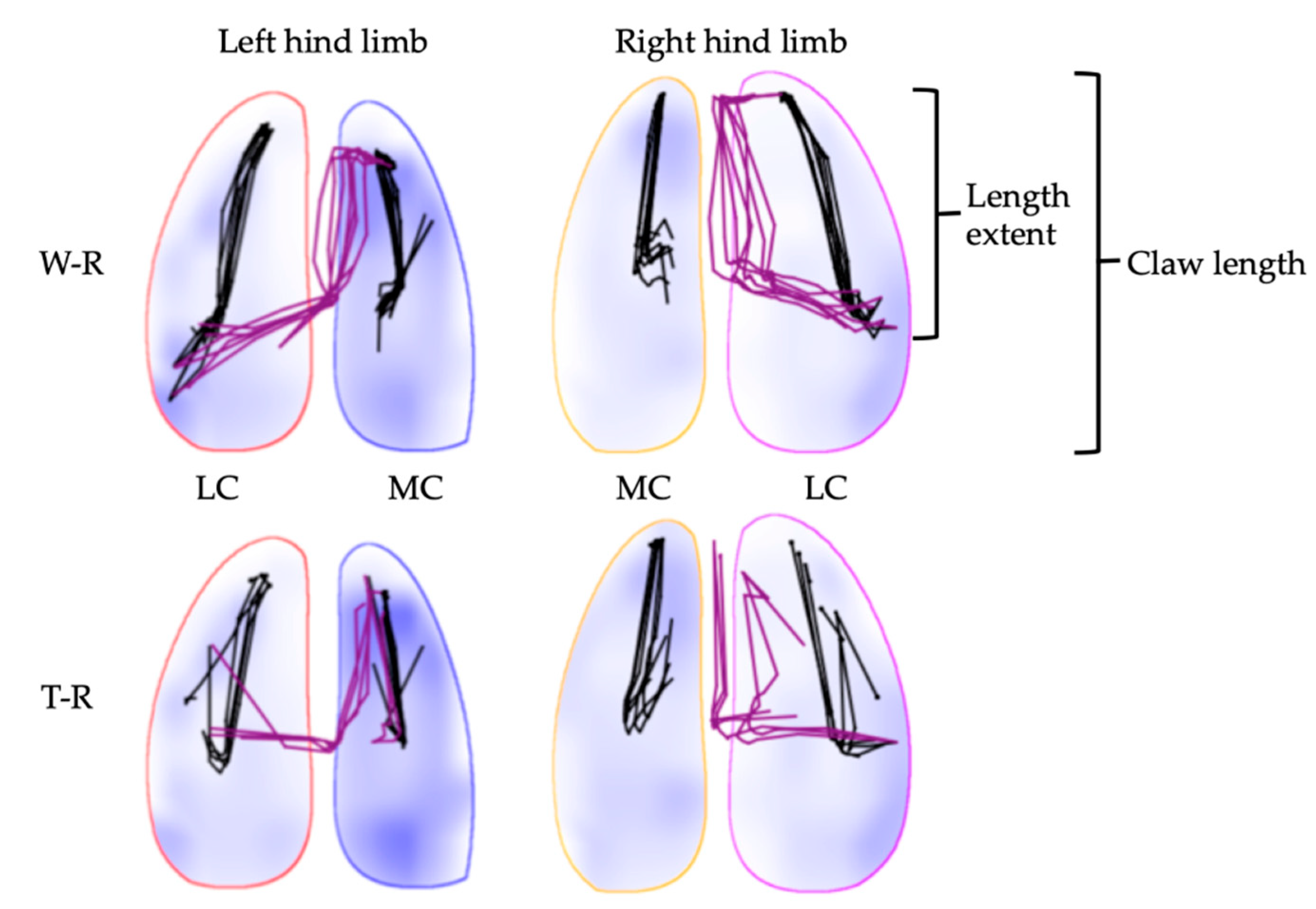 Animals 12 02457 g006 Animals 12 02457 g006