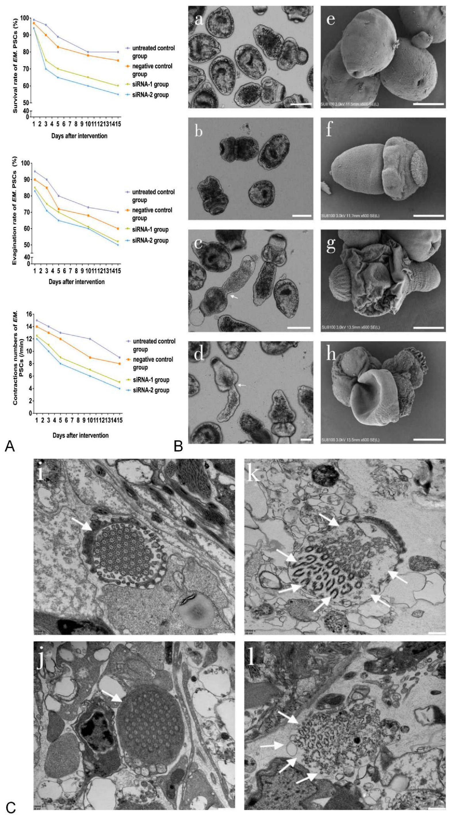 Animals 12 02471 g002 Animals 12 02471 g002