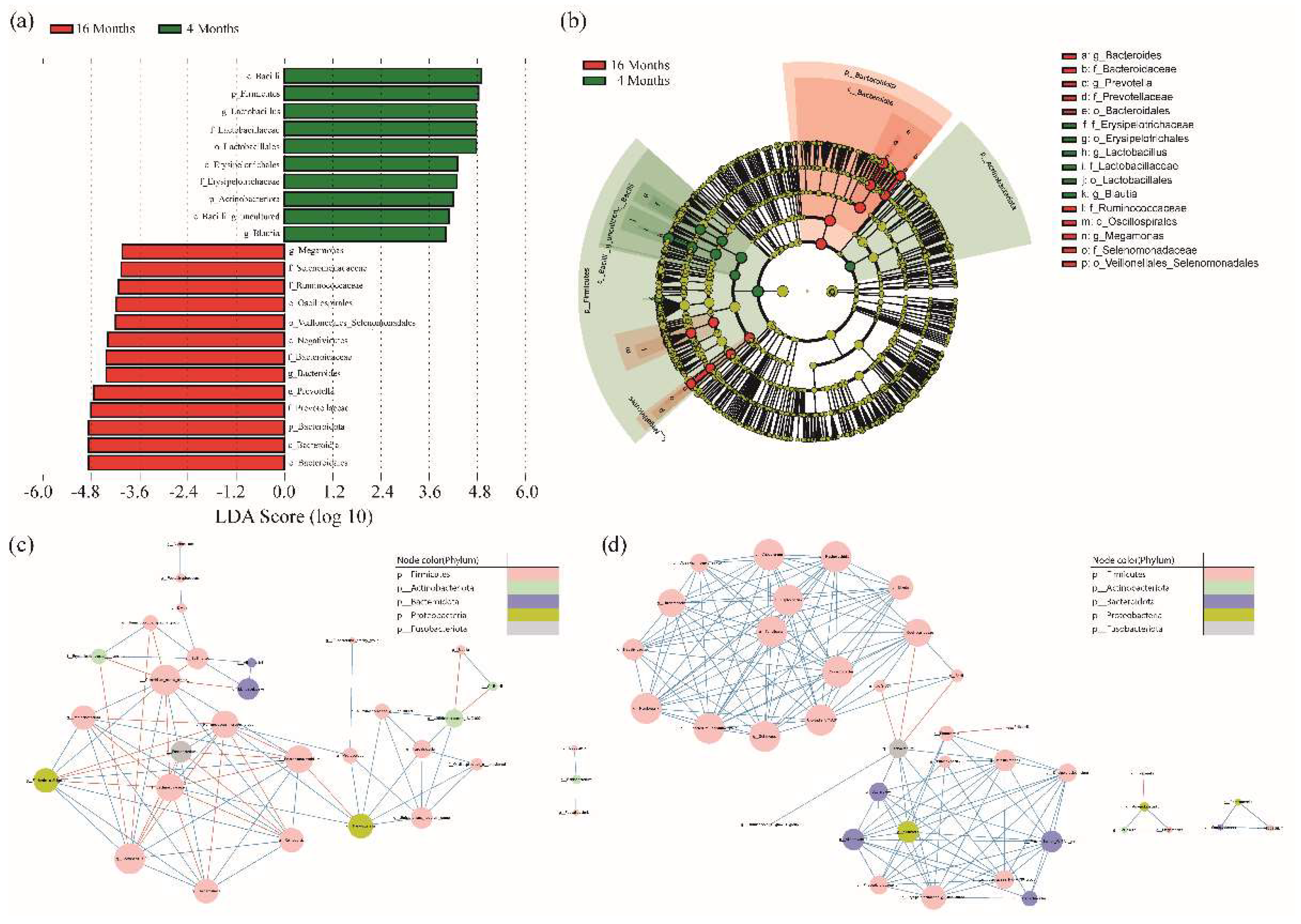 Animals 12 02499 g002 Animals 12 02499 g002