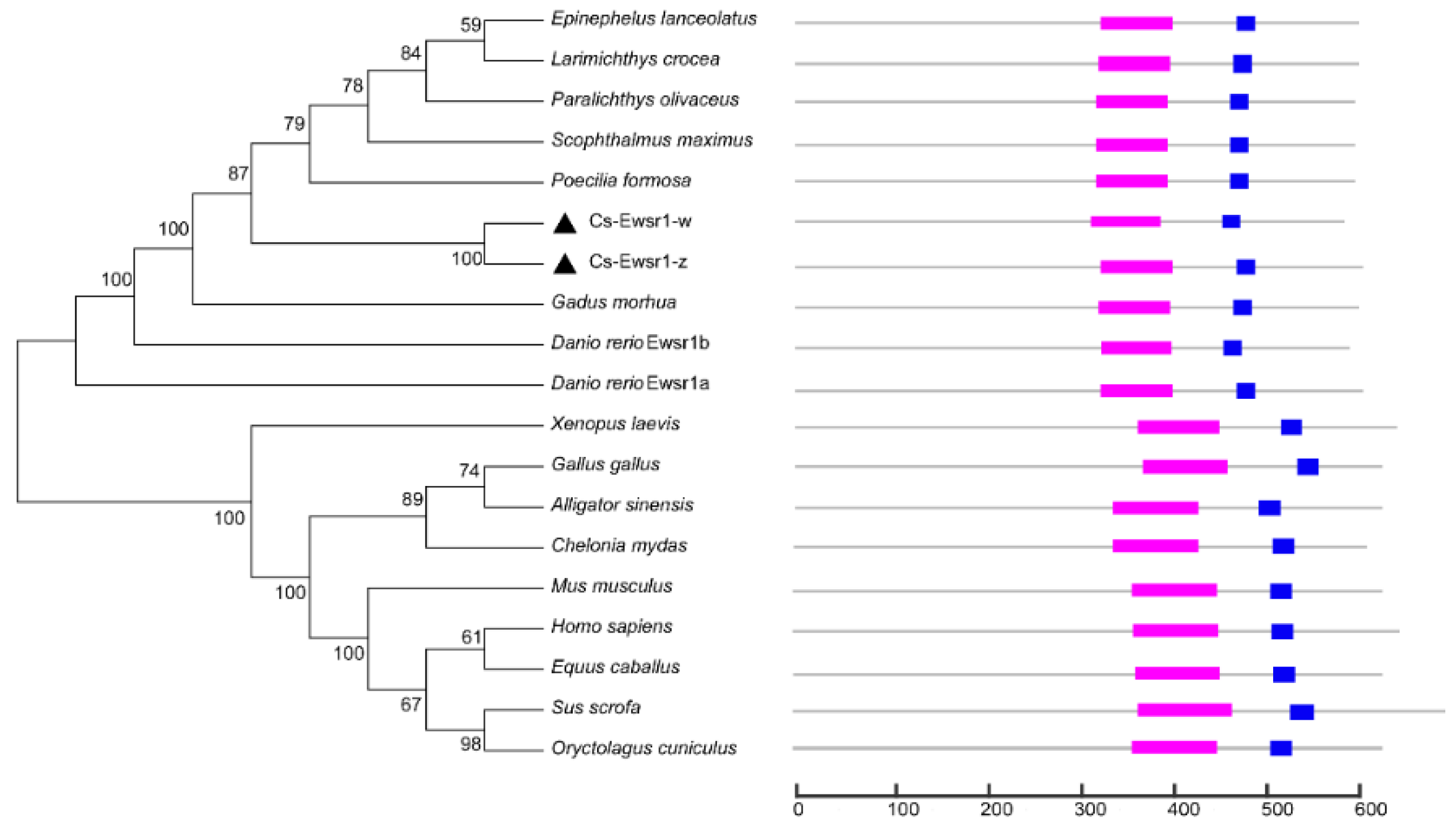 Animals 12 02503 g002