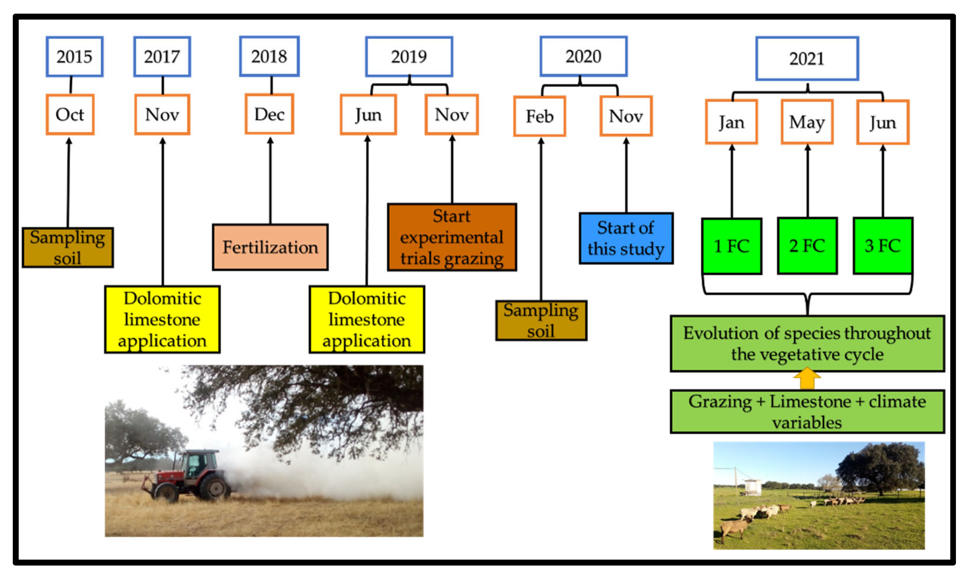 Animals 12 02506 g001