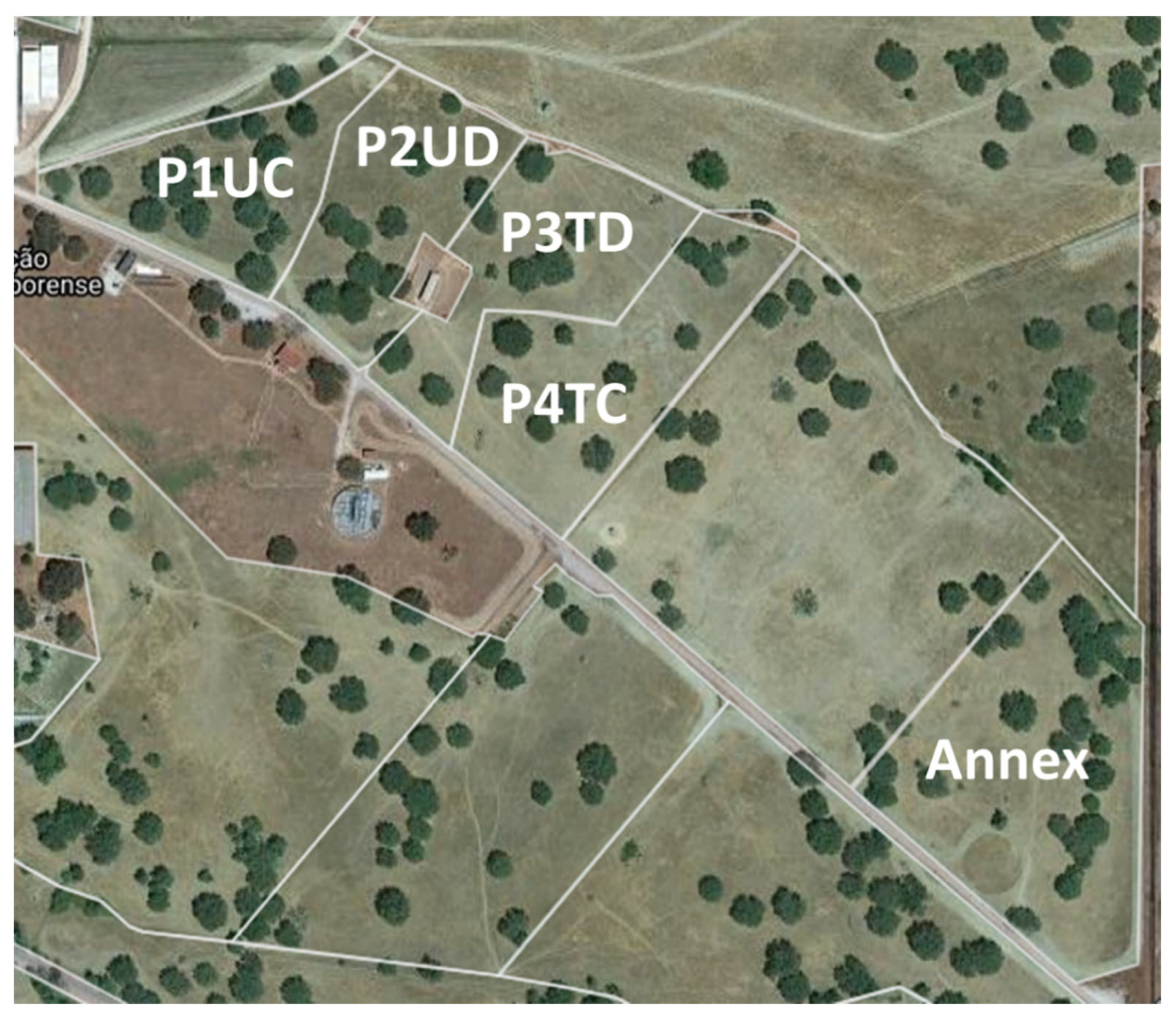 Animals 12 02506 g002