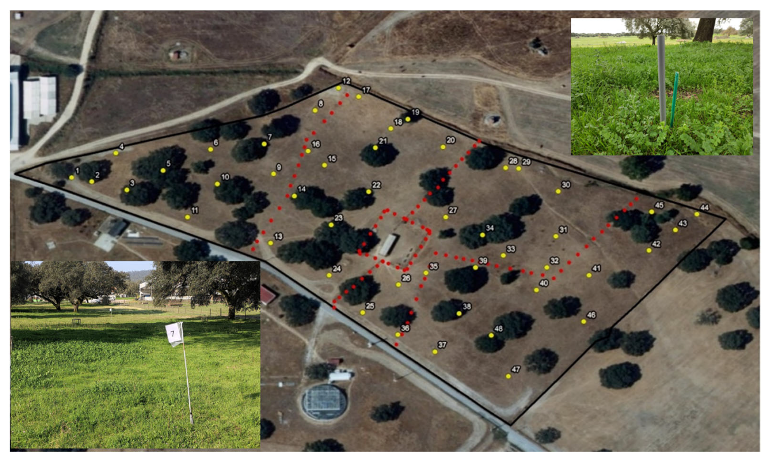 Animals 12 02506 g004