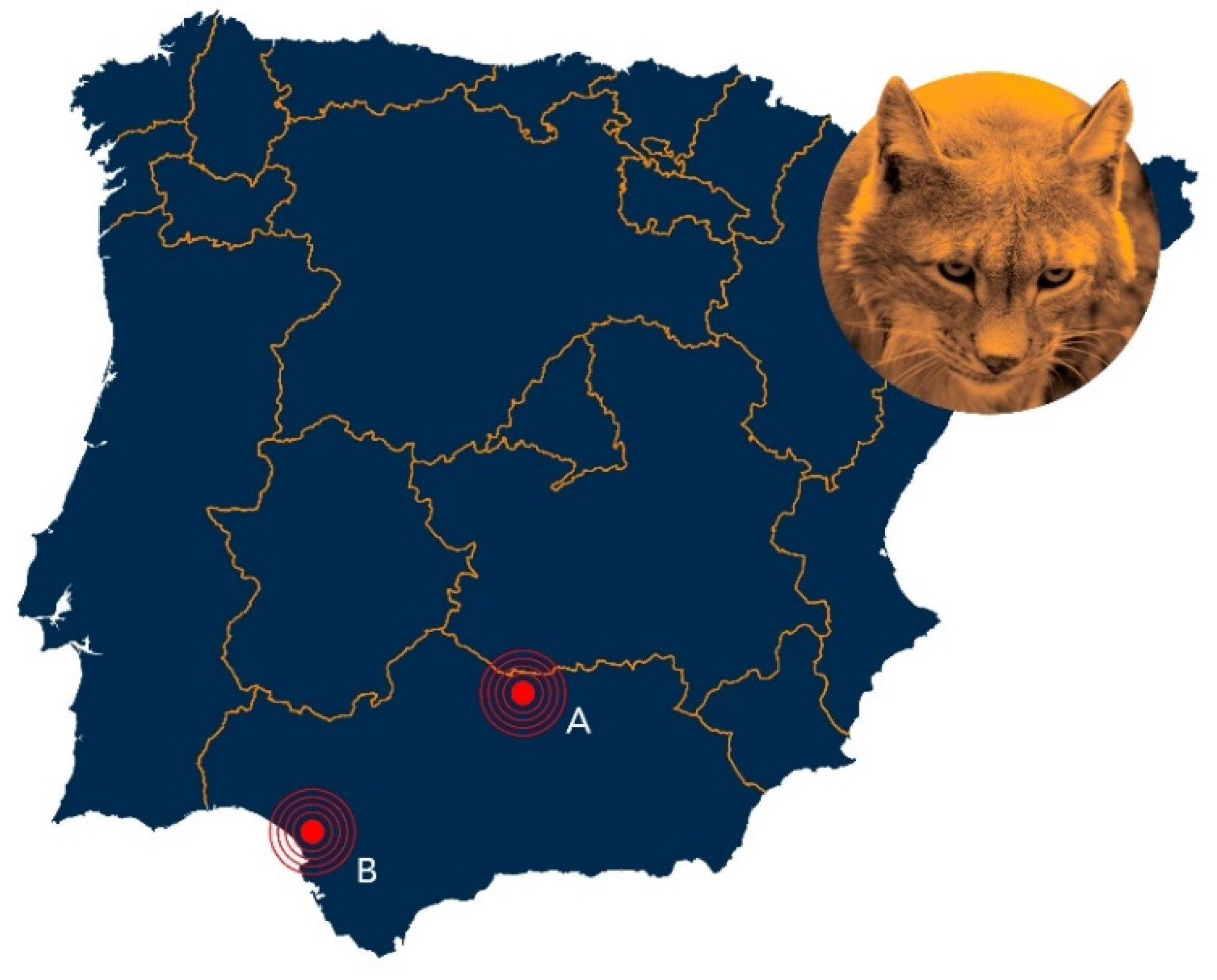 iberian lynx map