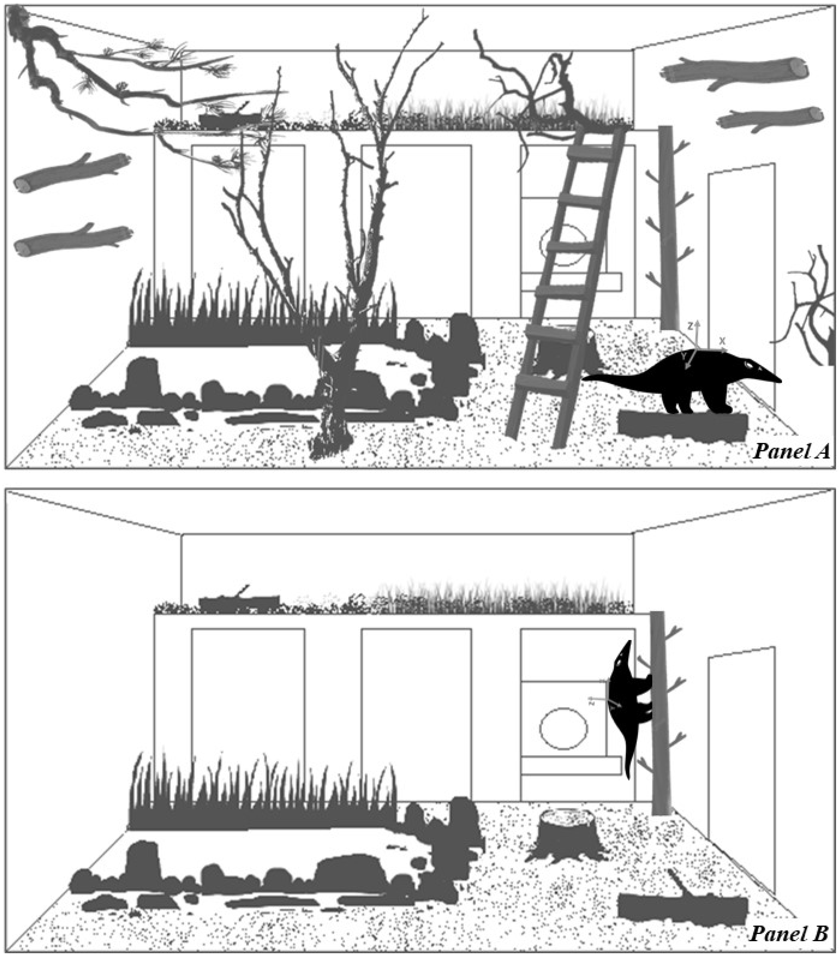 Animals 12 02516 g003