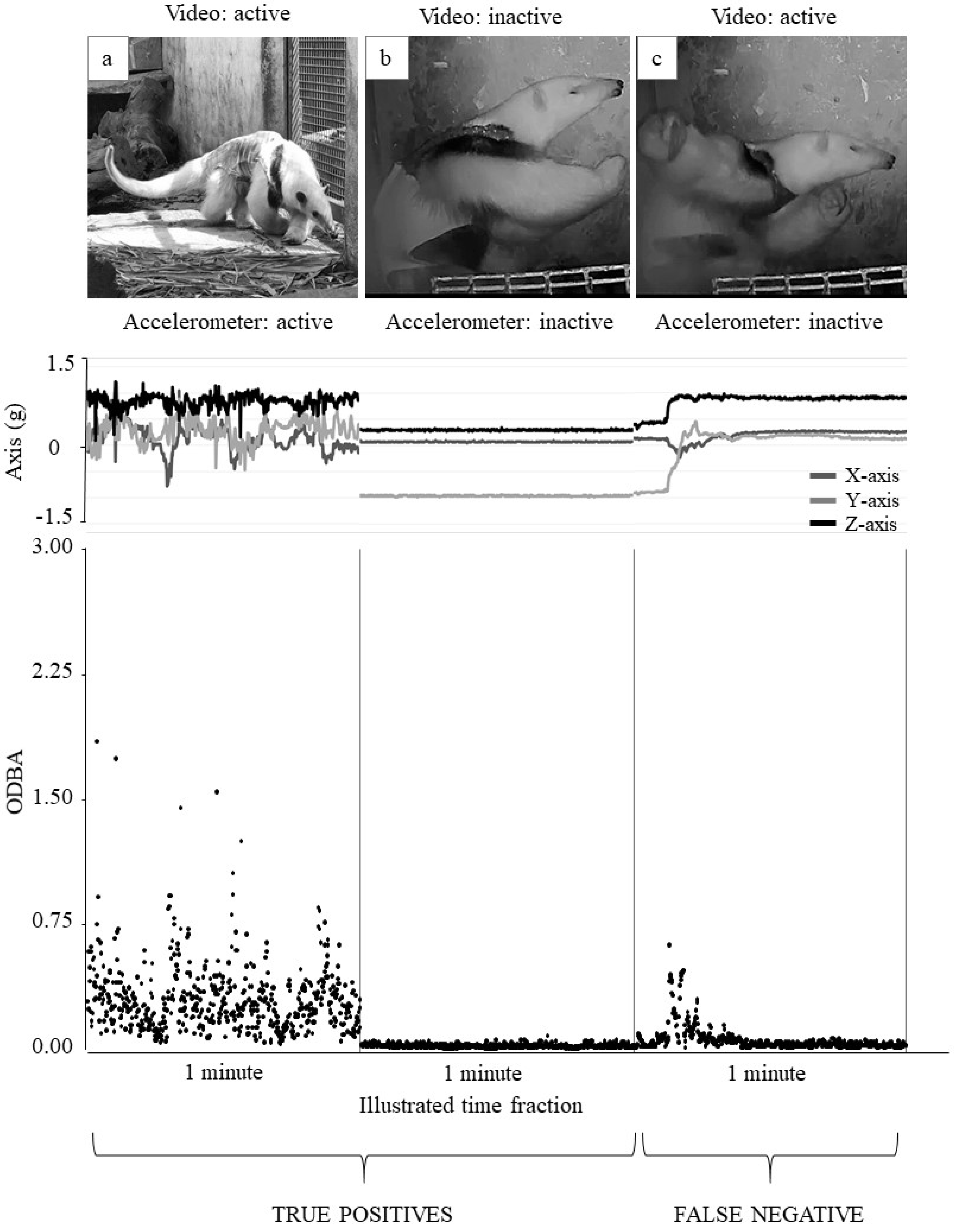 Animals 12 02516 g008