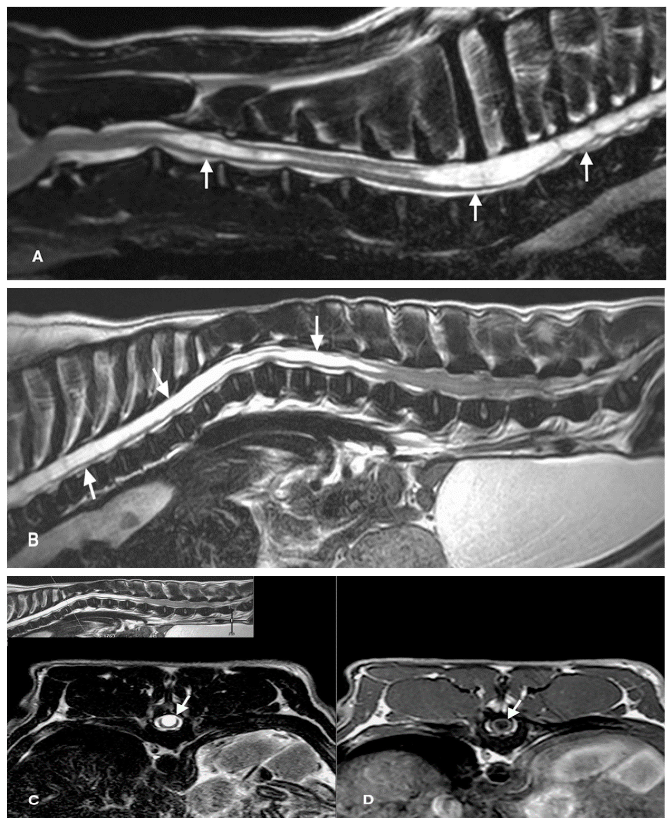 Animals 12 02622 g001