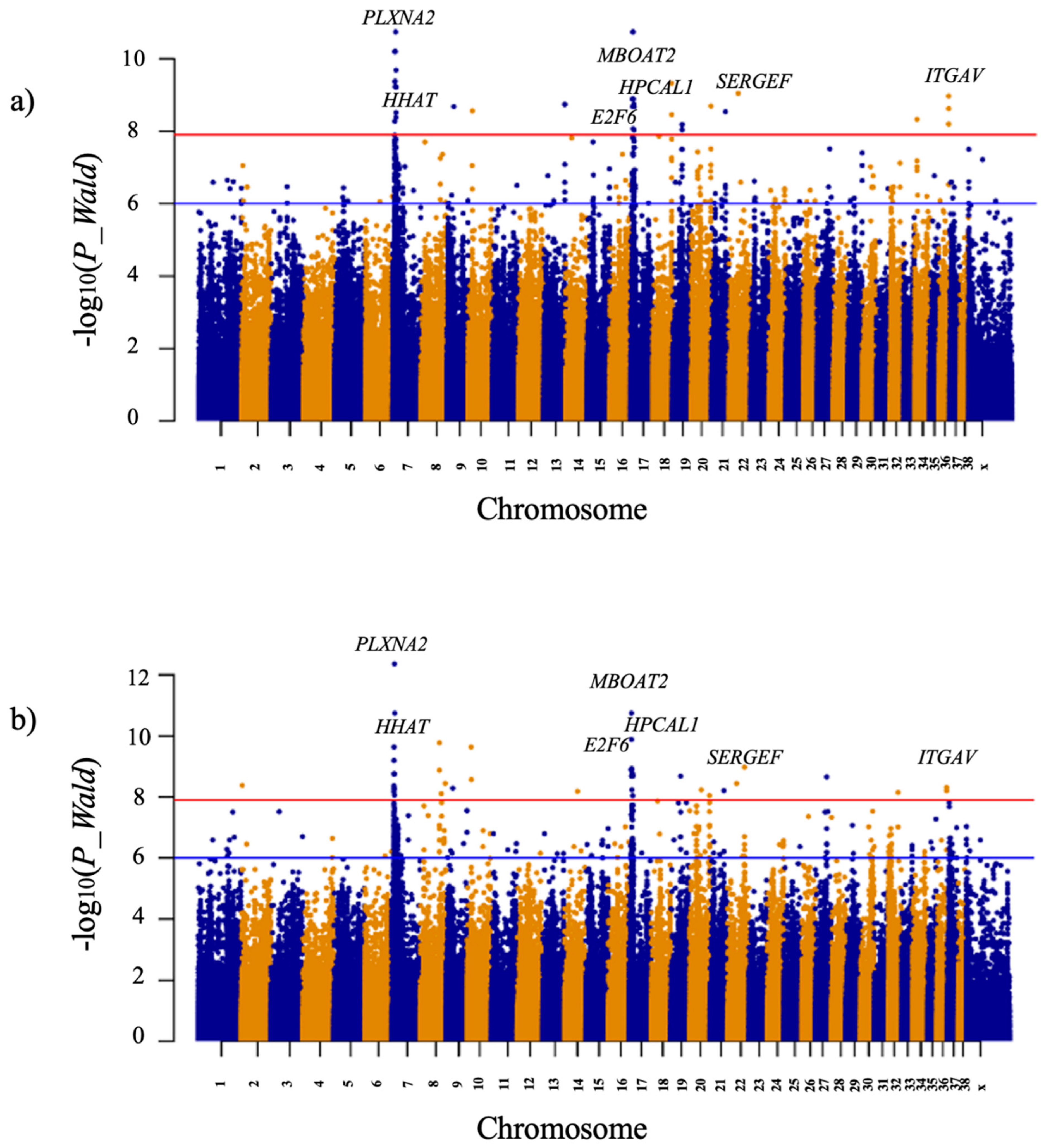 Animals 12 02622 g002