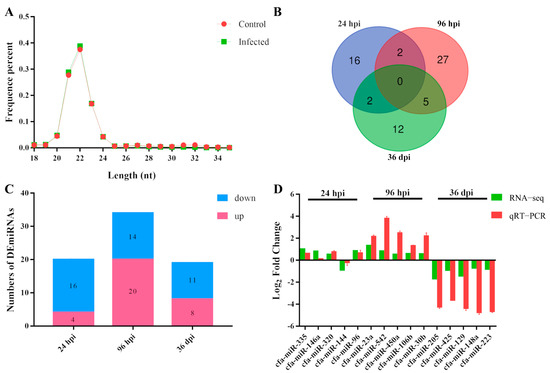 Animals | Free Full-Text | Differential Spleen miRNA Expression