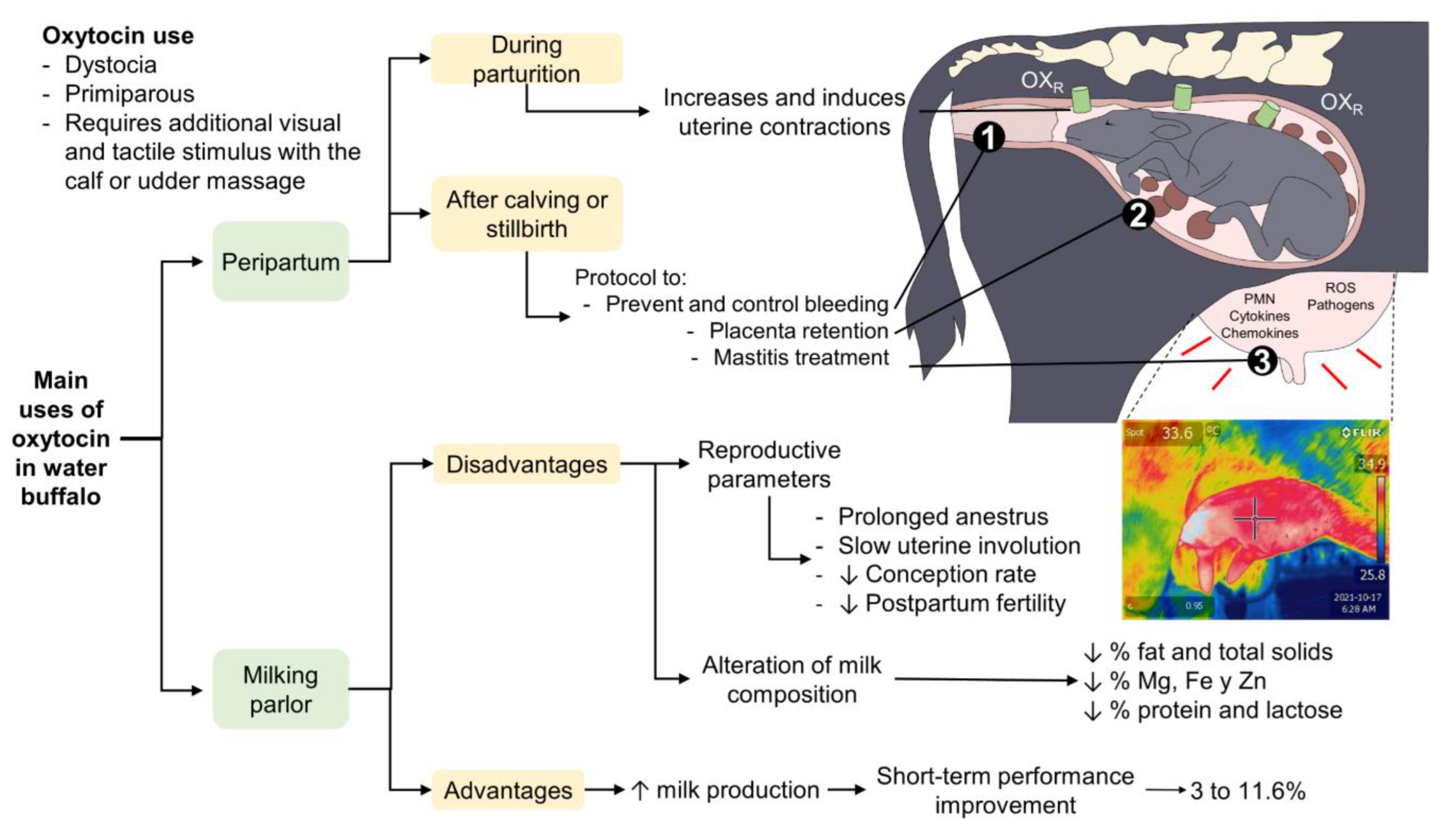 Animals 12 02649 g007