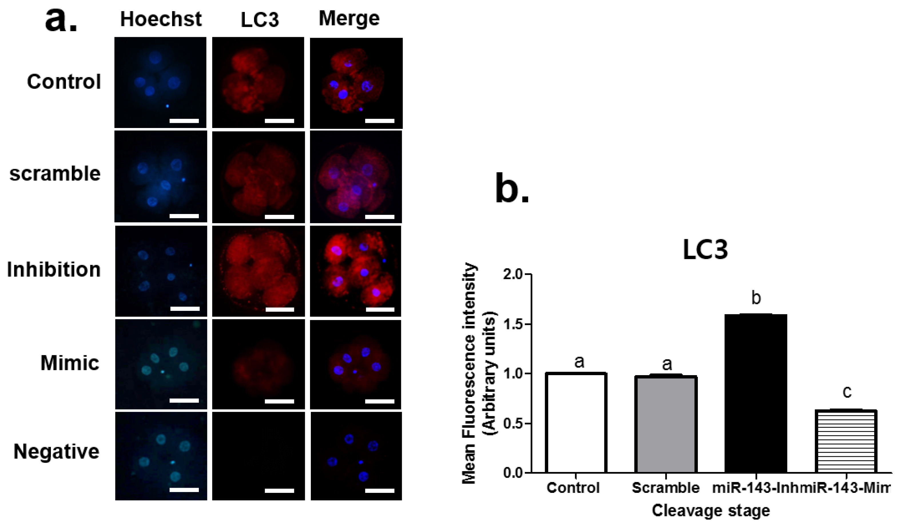 Animals 12 02651 g001 Animals 12 02651 g001