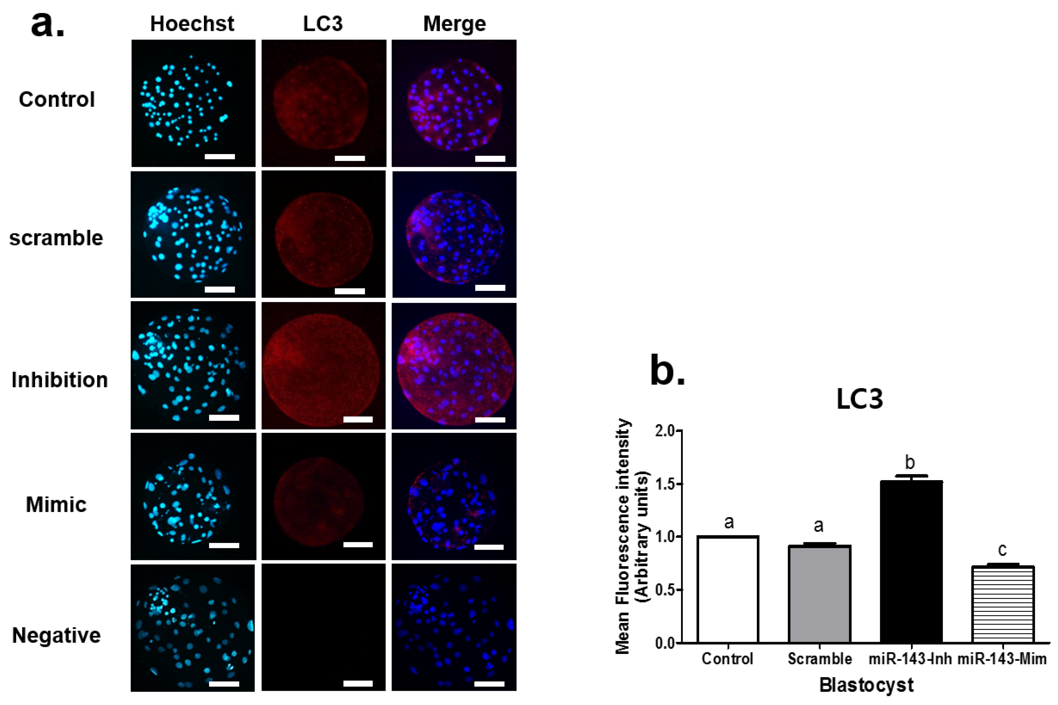Animals 12 02651 g002 Animals 12 02651 g002