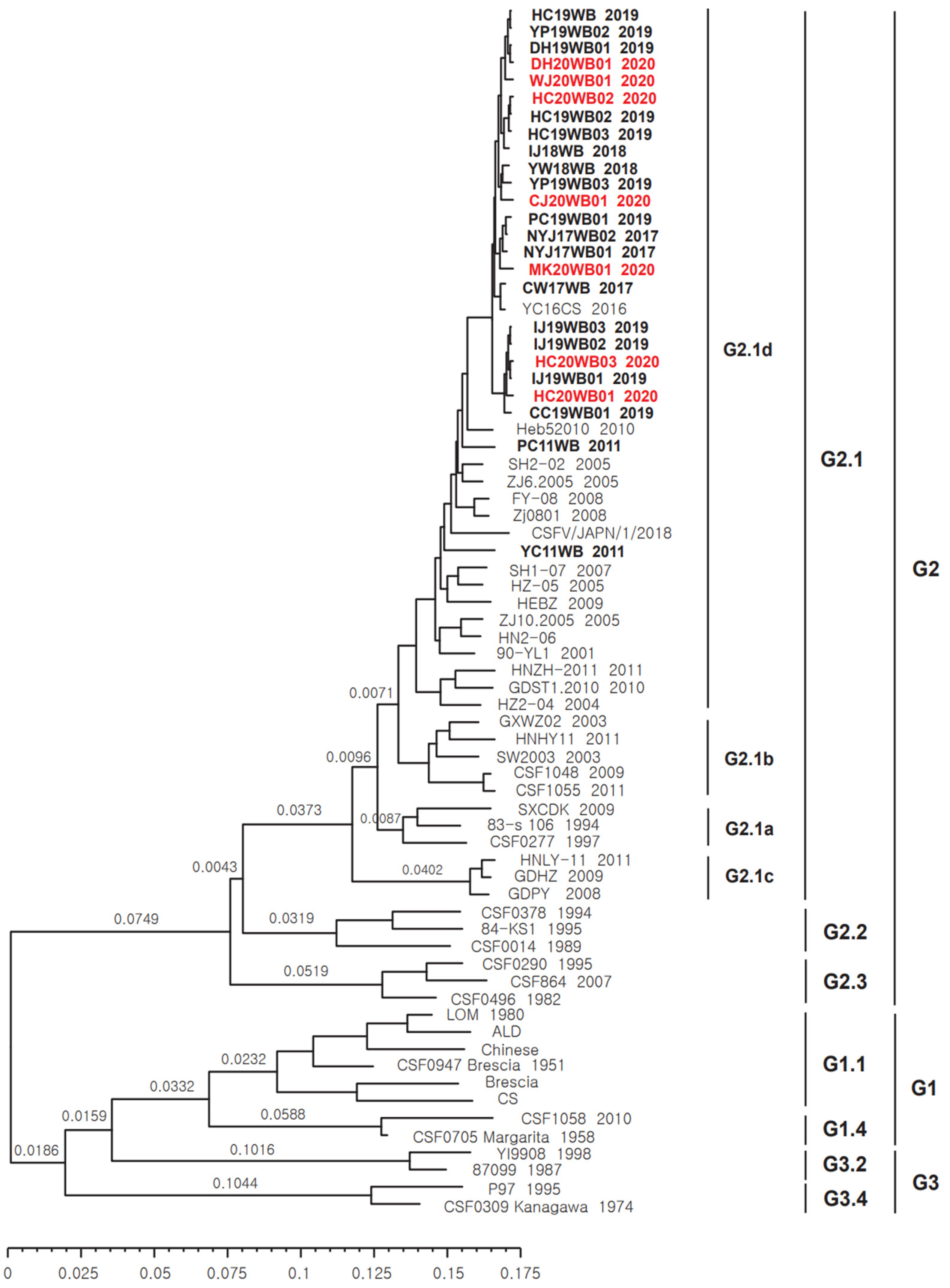 Animals 12 02670 g001