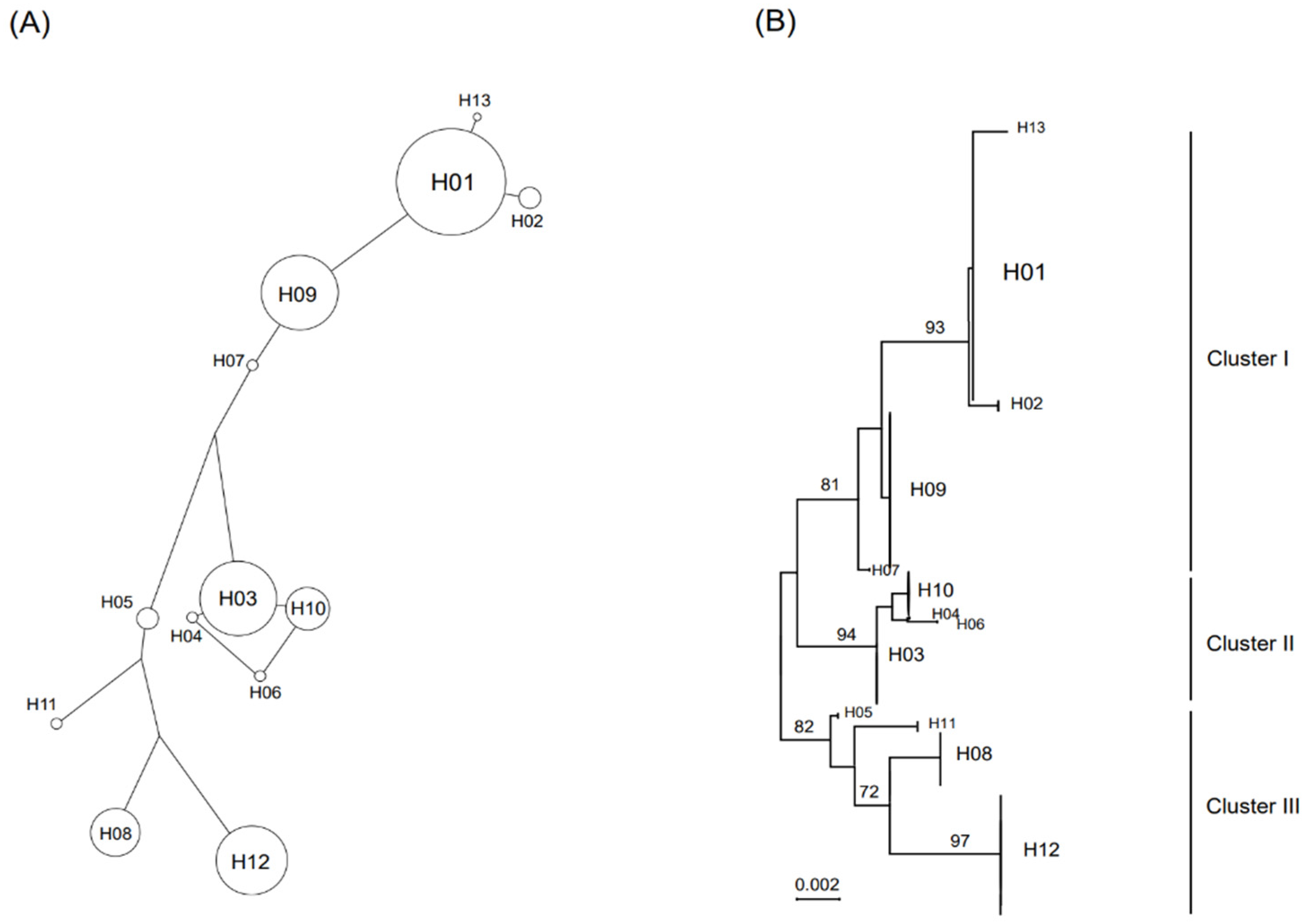 Animals 12 02670 g004
