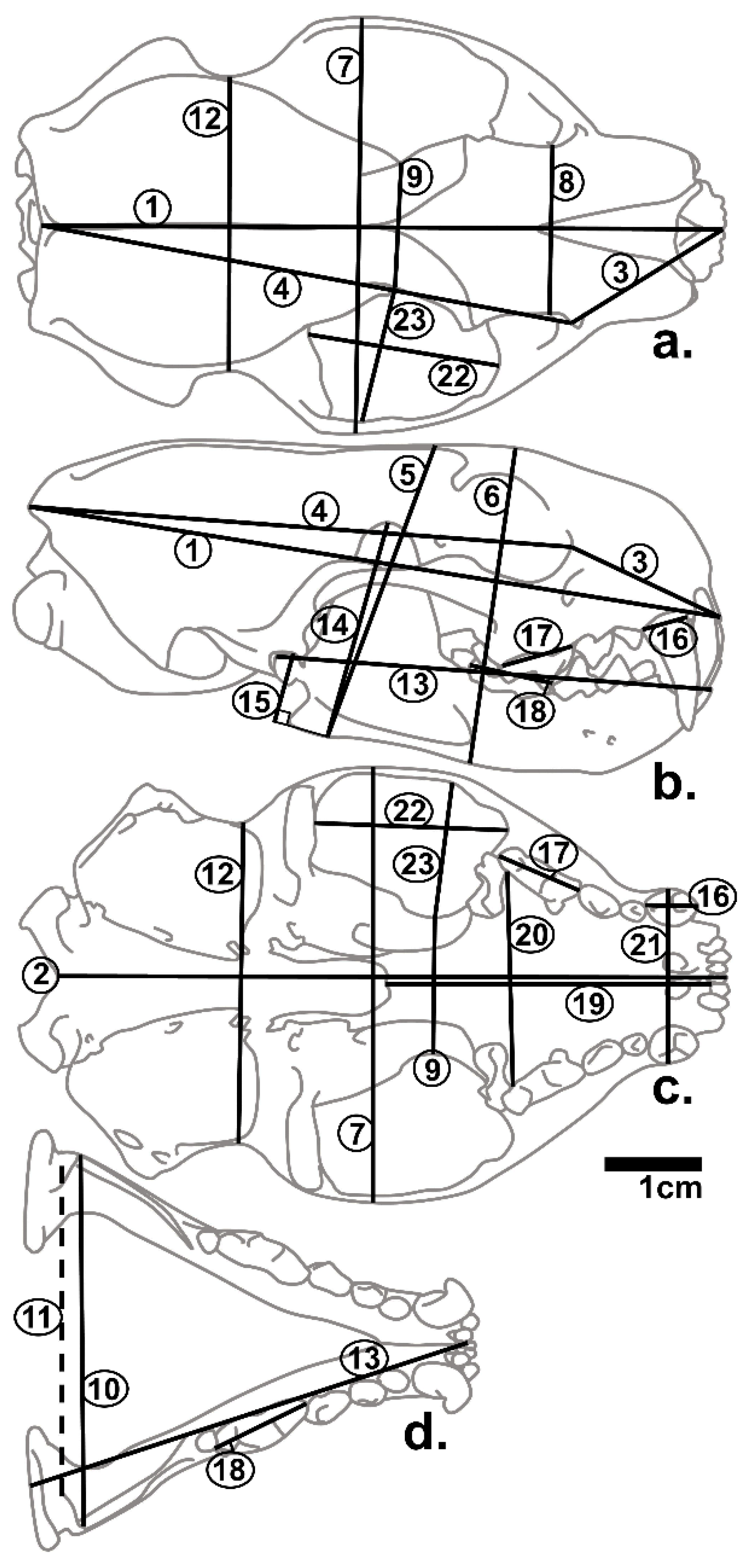 Animals 12 02708 g001