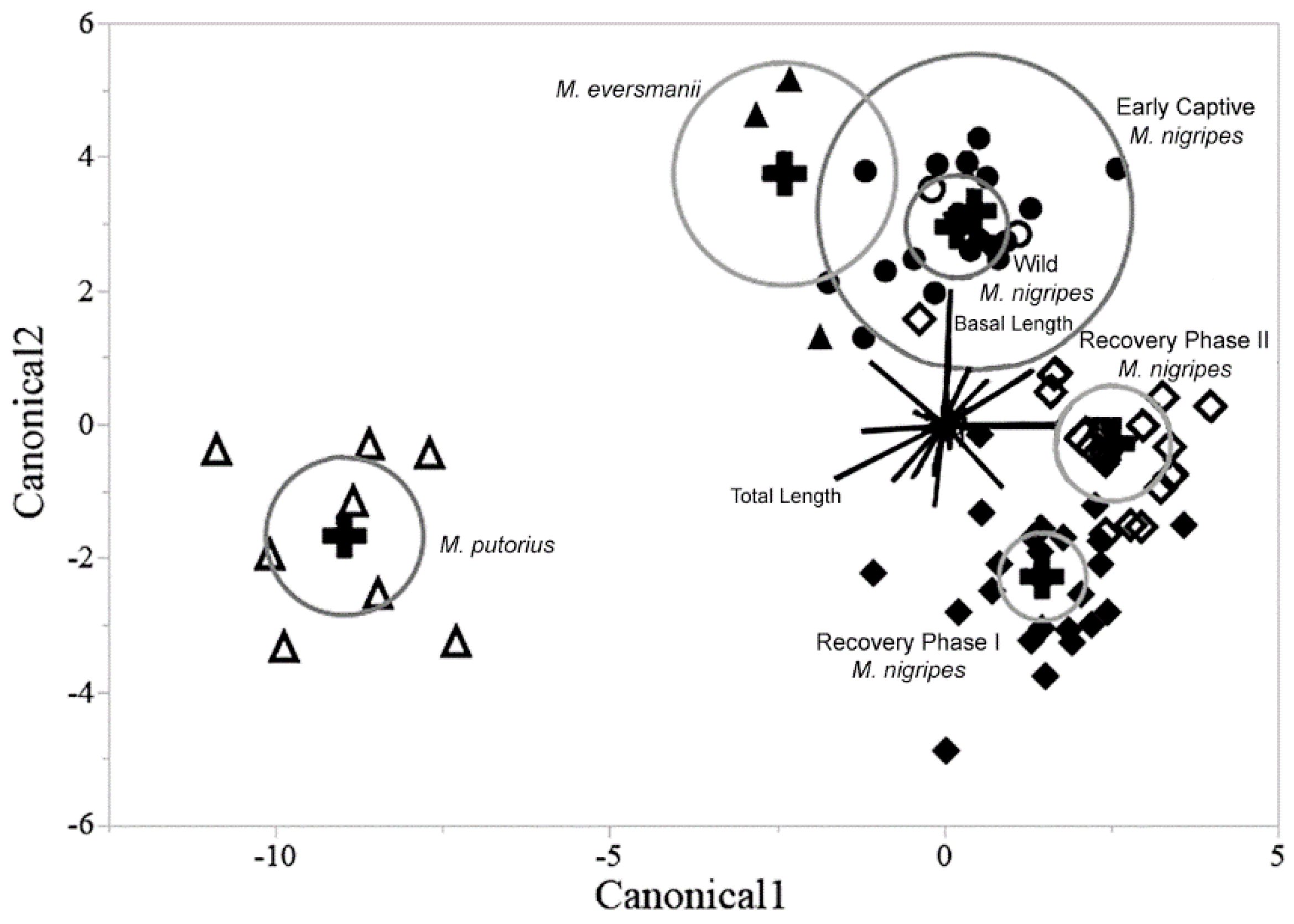 Animals 12 02708 g004
