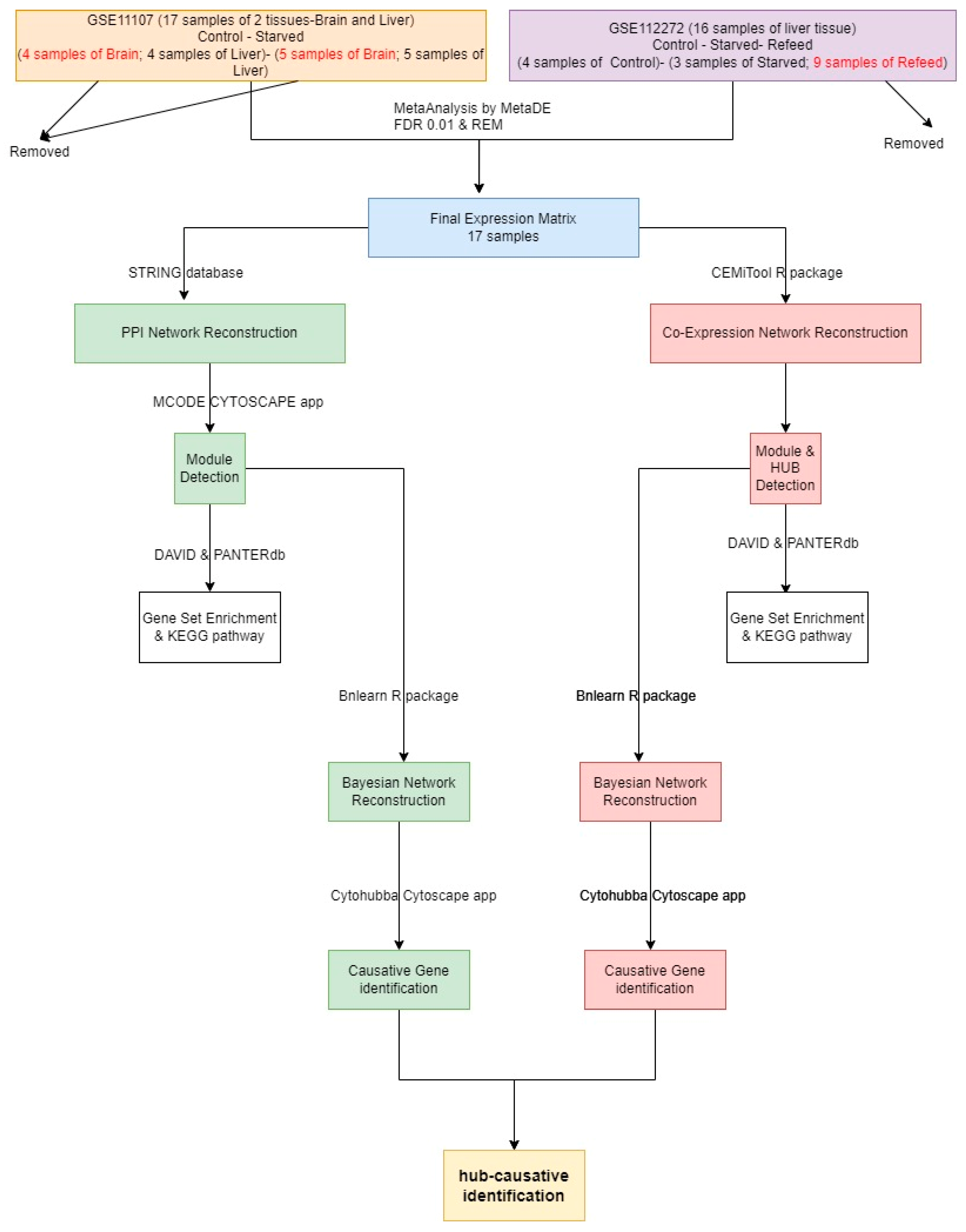 Animals 12 02724 g001