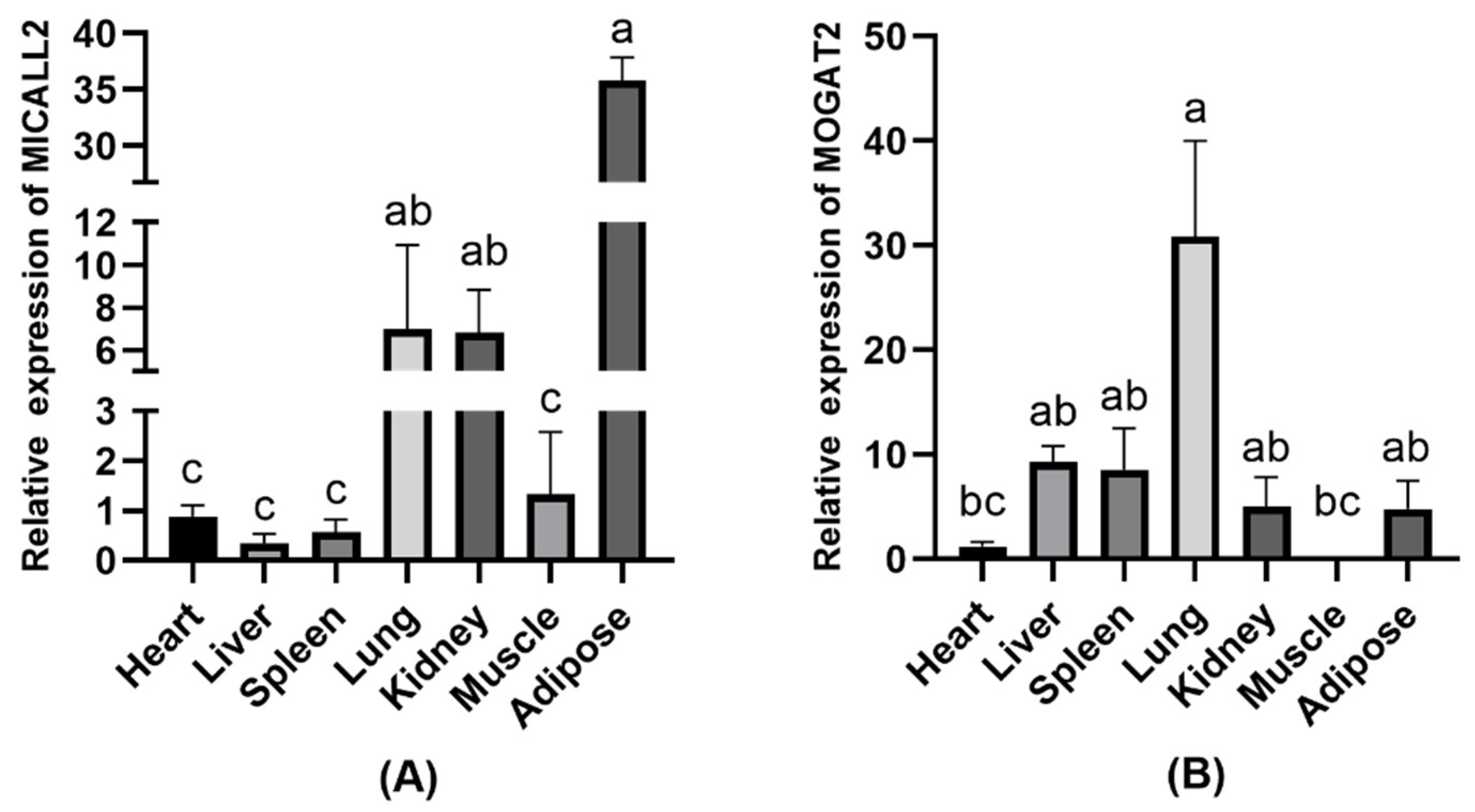 Animals 12 02779 g002