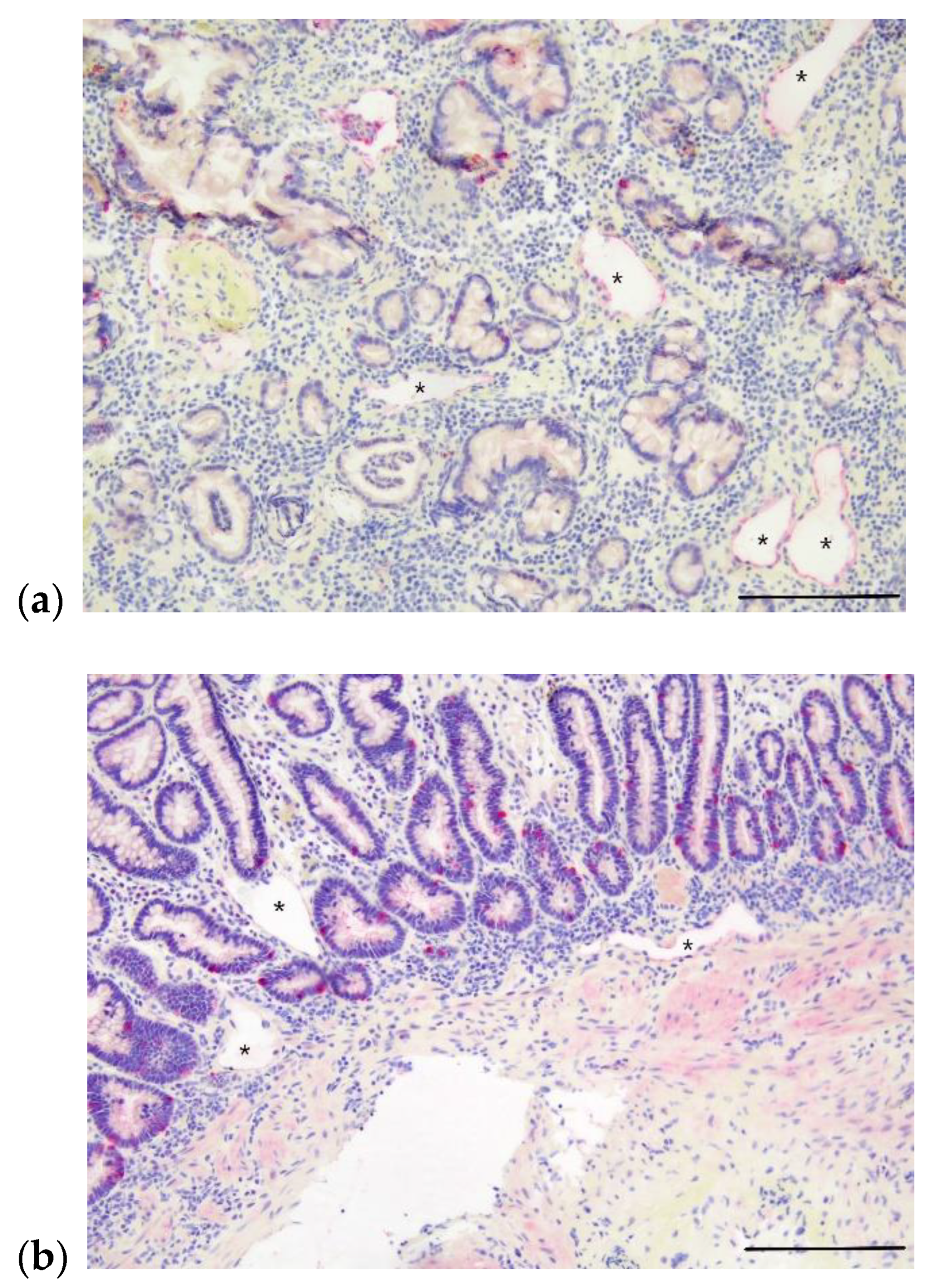 Animals 12 02791 g003 Animals 12 02791 g003