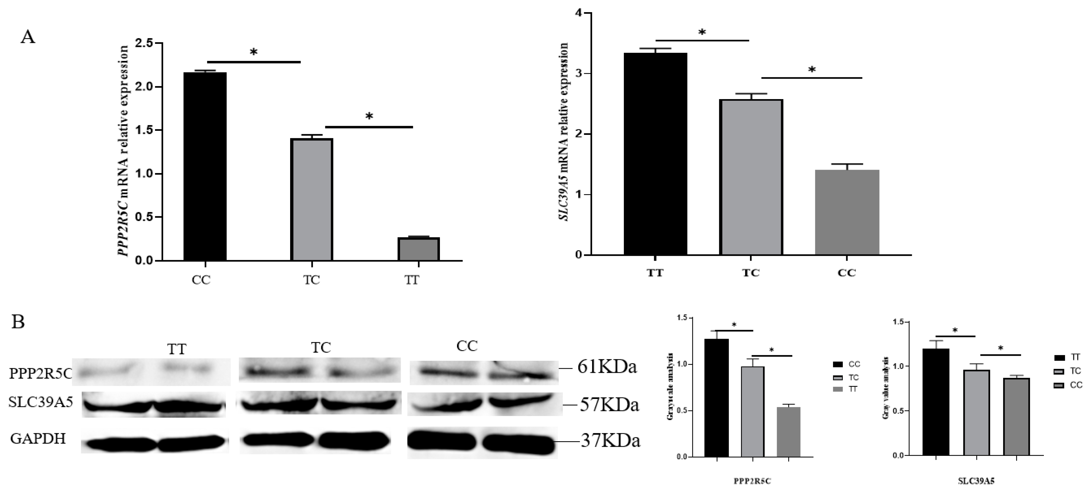 Animals 12 02801 g002