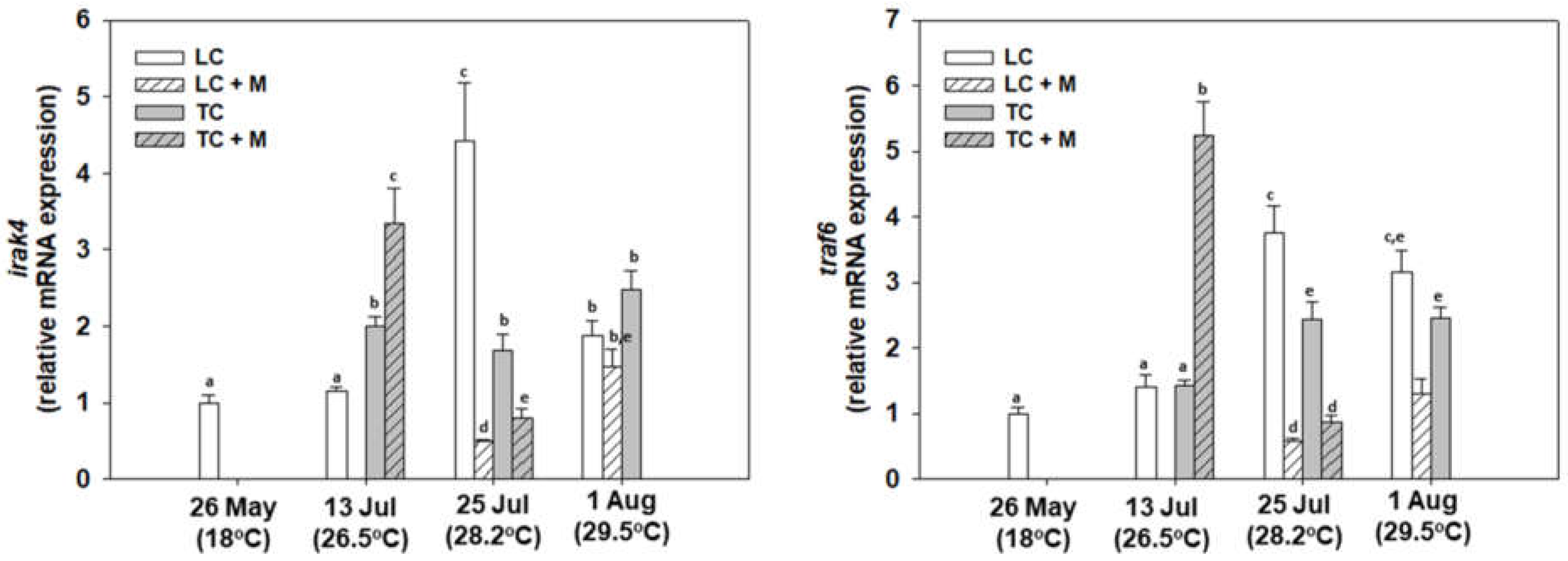 Animals 12 02805 g010