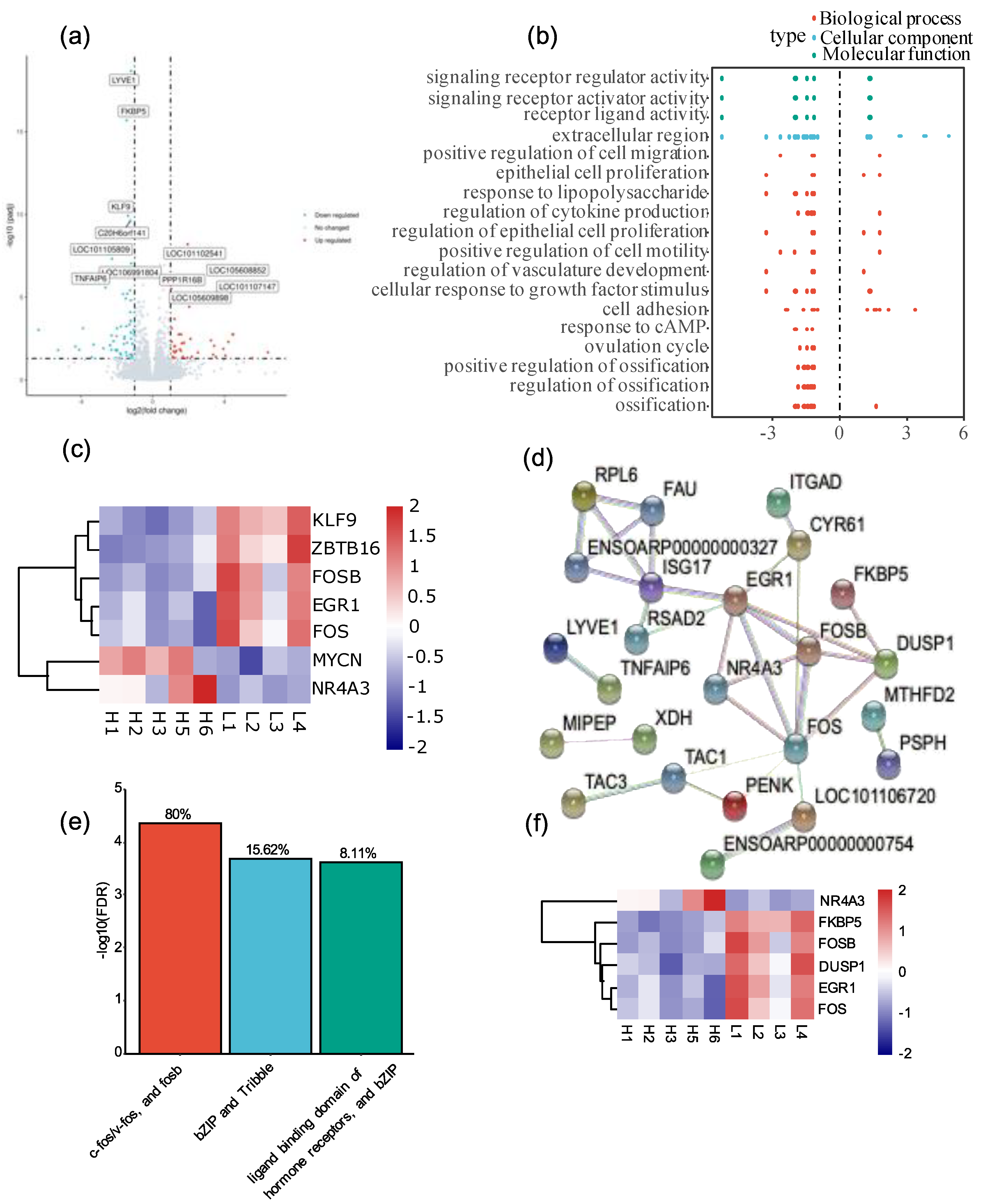 Animals 12 02812 g001