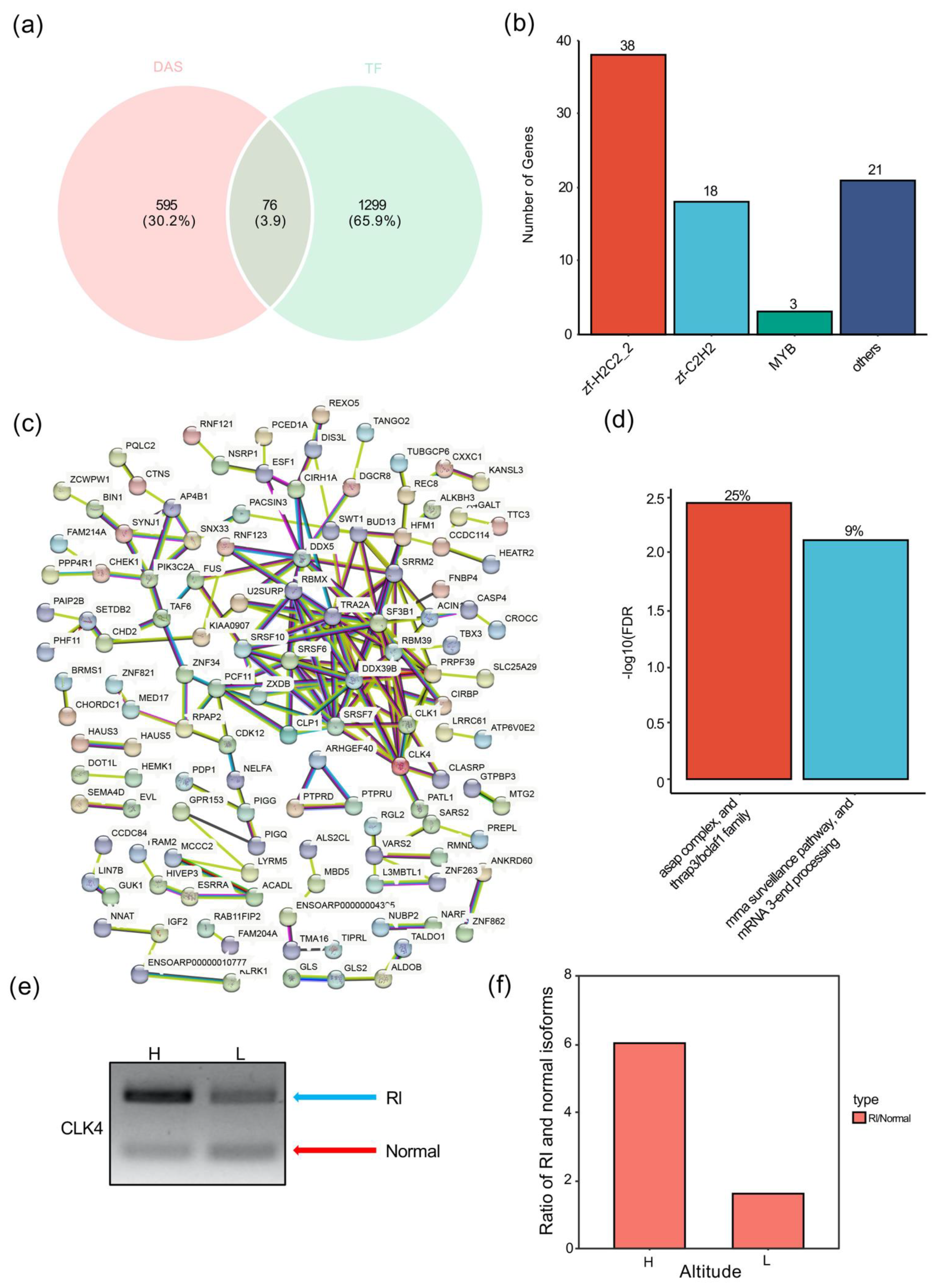 Animals 12 02812 g004