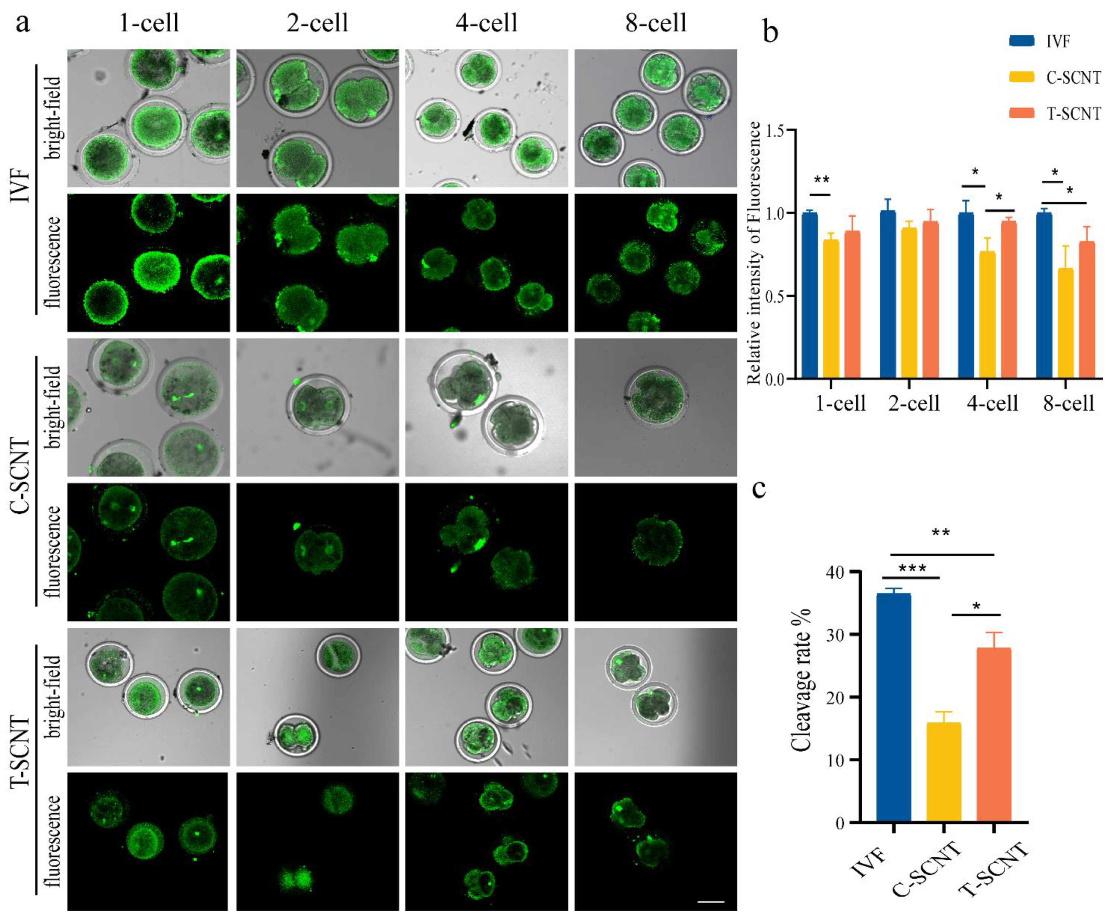 Animals 12 02848 g005