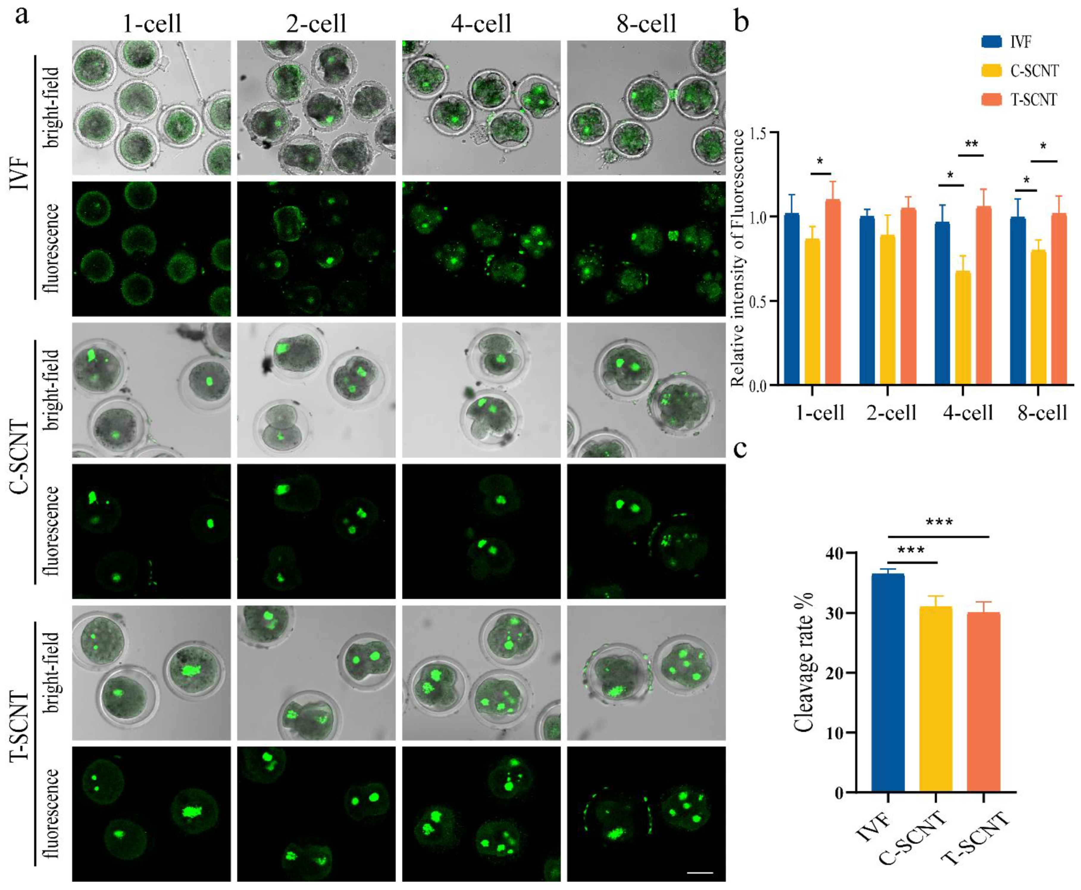 Animals 12 02848 g006