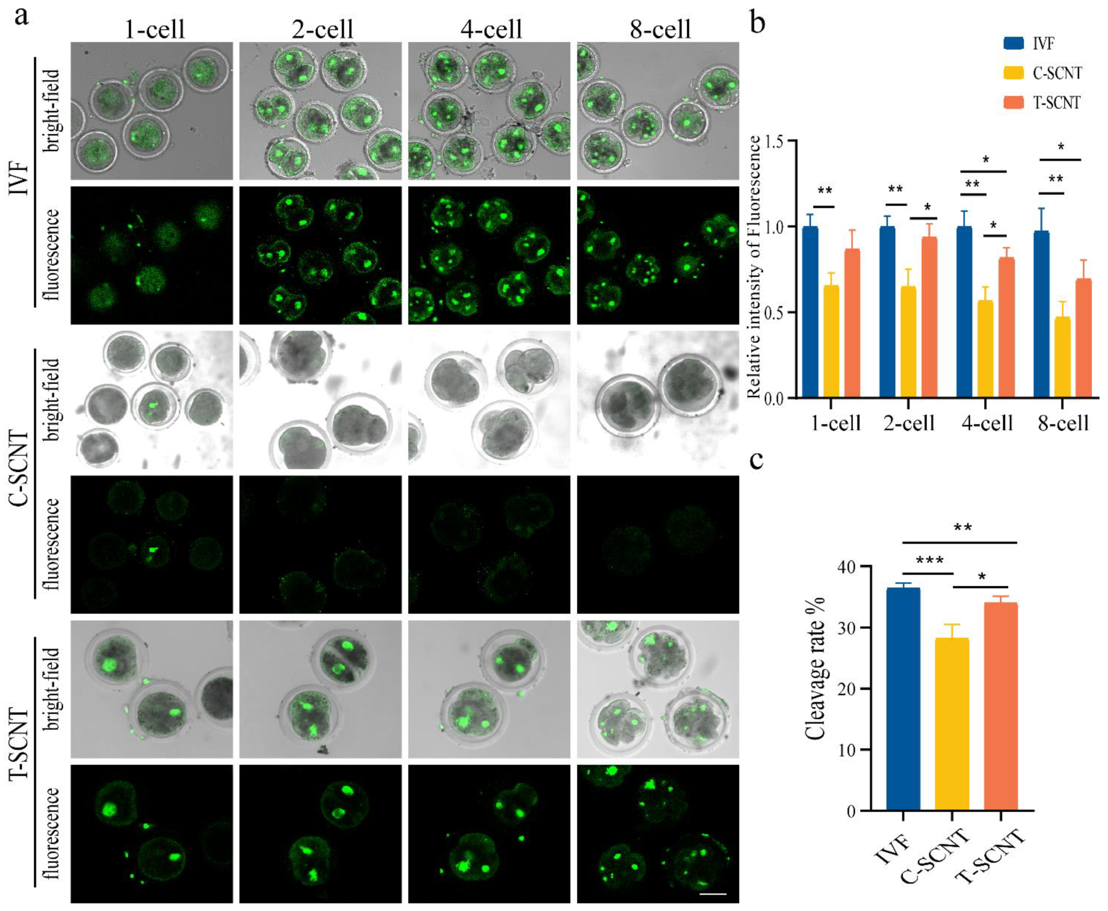 Animals 12 02848 g007