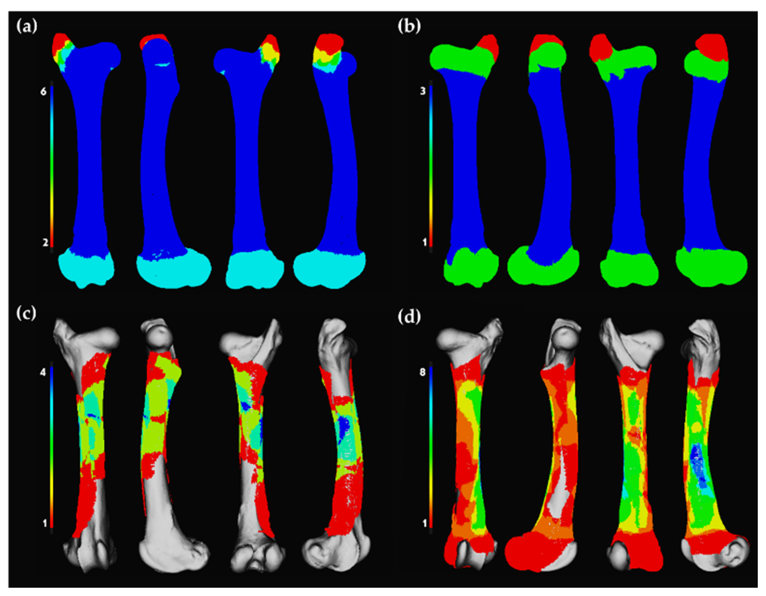 Animals 12 02861 g002