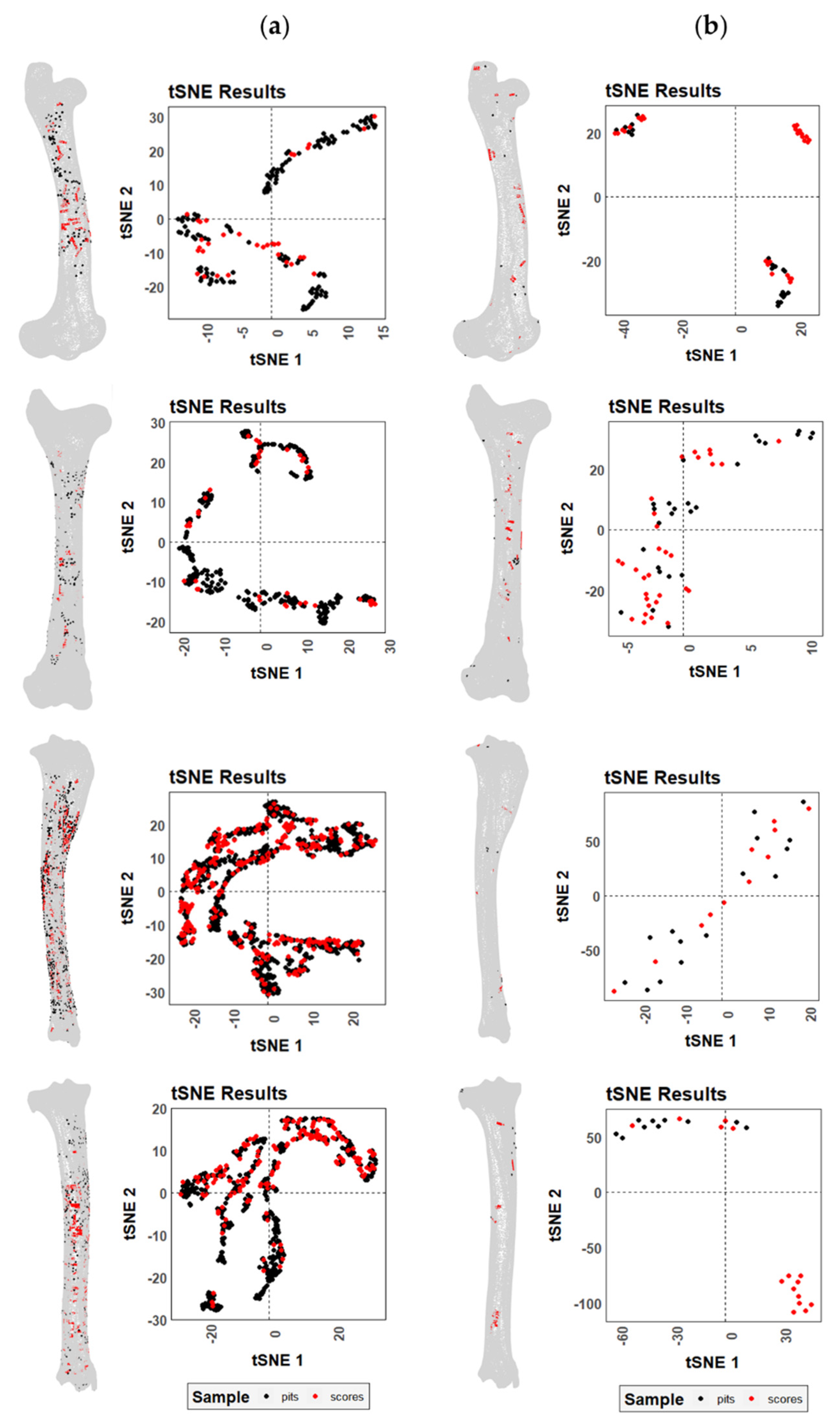 Animals 12 02861 g006