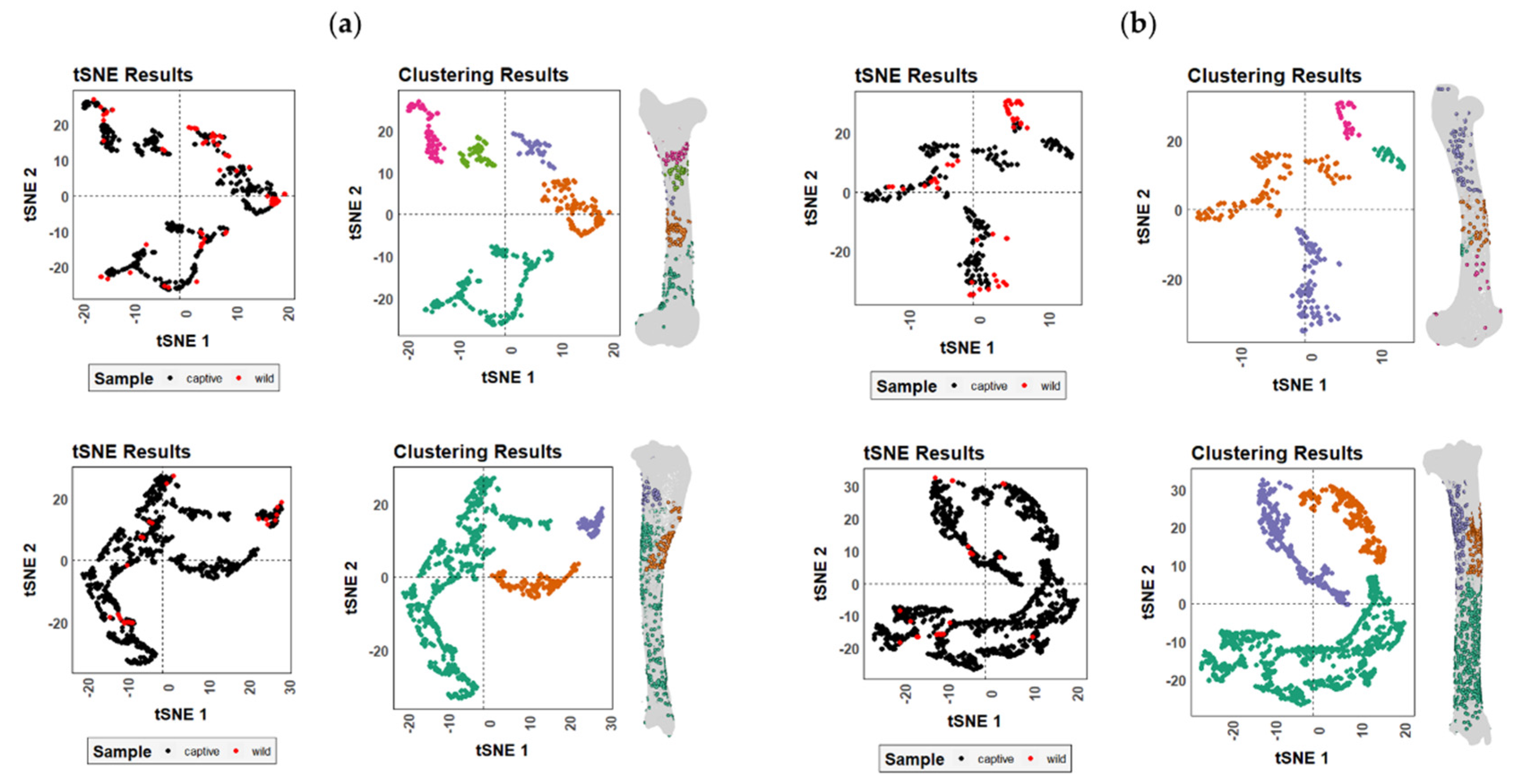 Animals 12 02861 g007