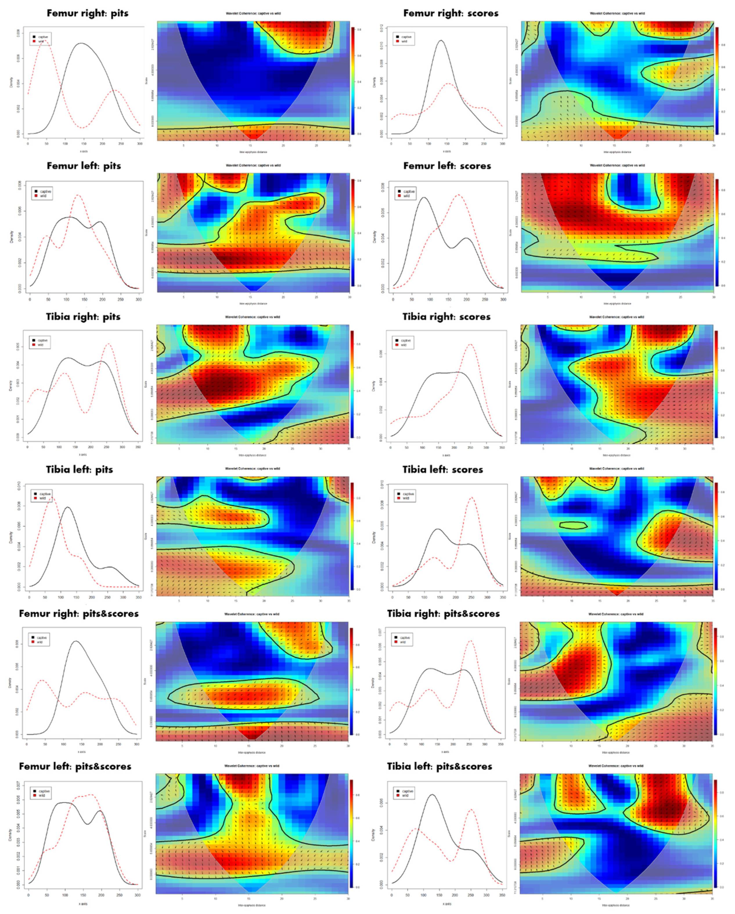 Animals 12 02861 g008