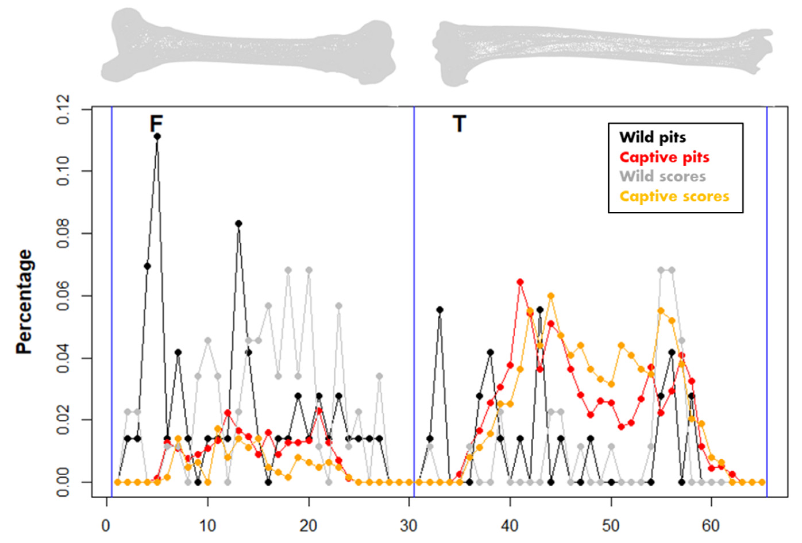 Animals 12 02861 g009