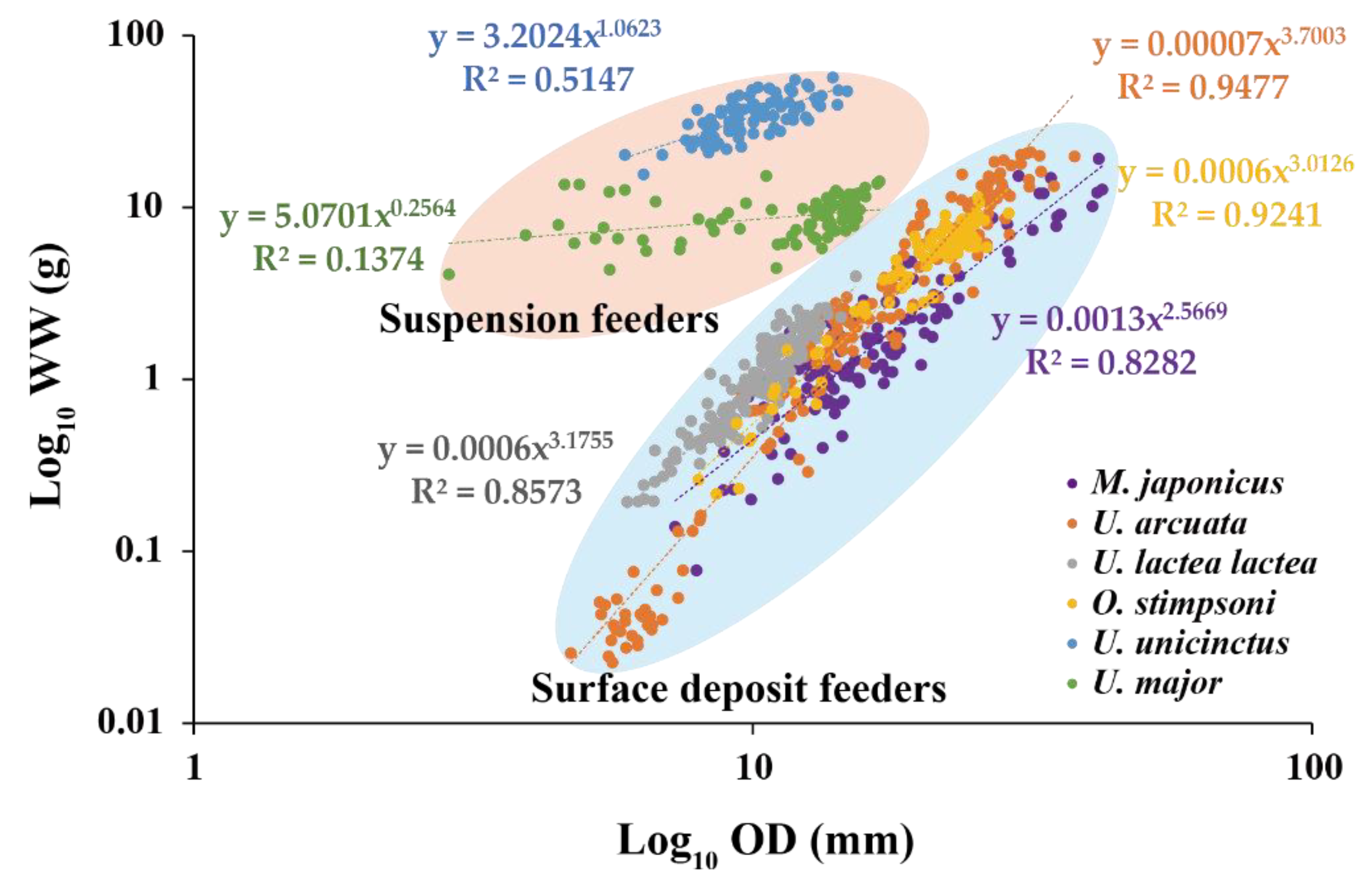 Animals Free FullText The Relationship between Burrow Opening